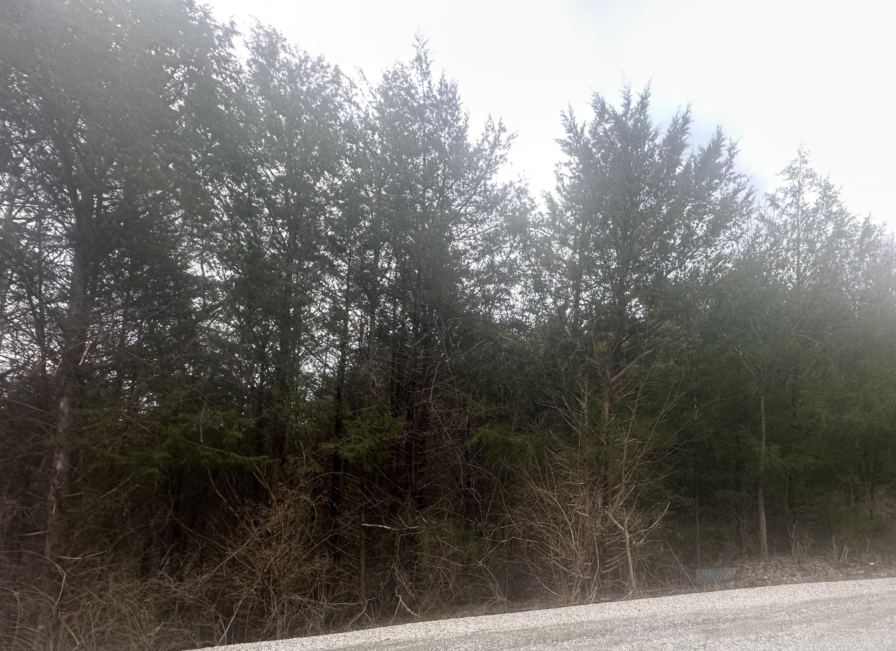 Photo 6 - Land for sale – 000  Panorama Drive  Cape Fair, MO