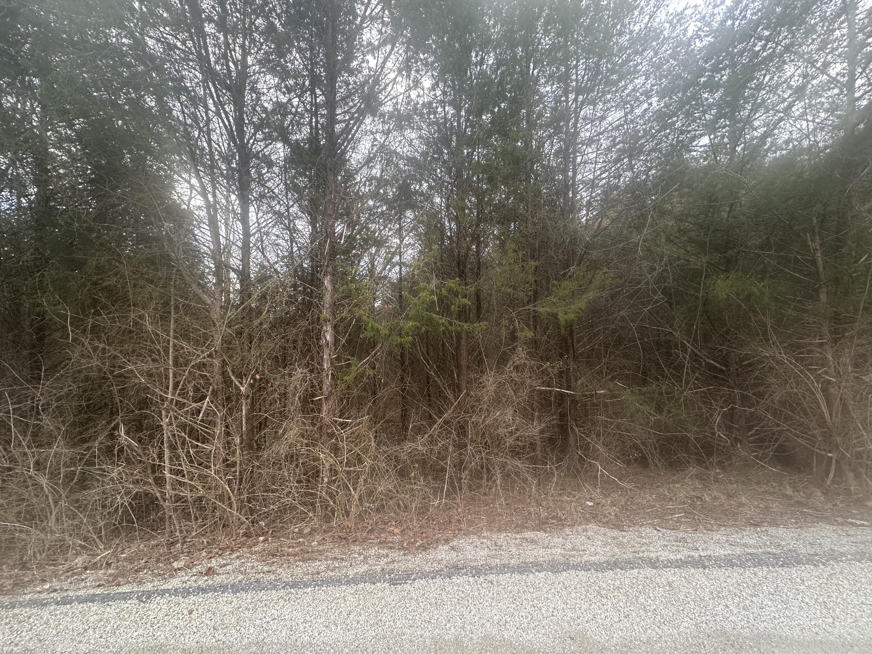 Photo 7 - Land for sale – 000  Panorama Drive  Cape Fair, MO