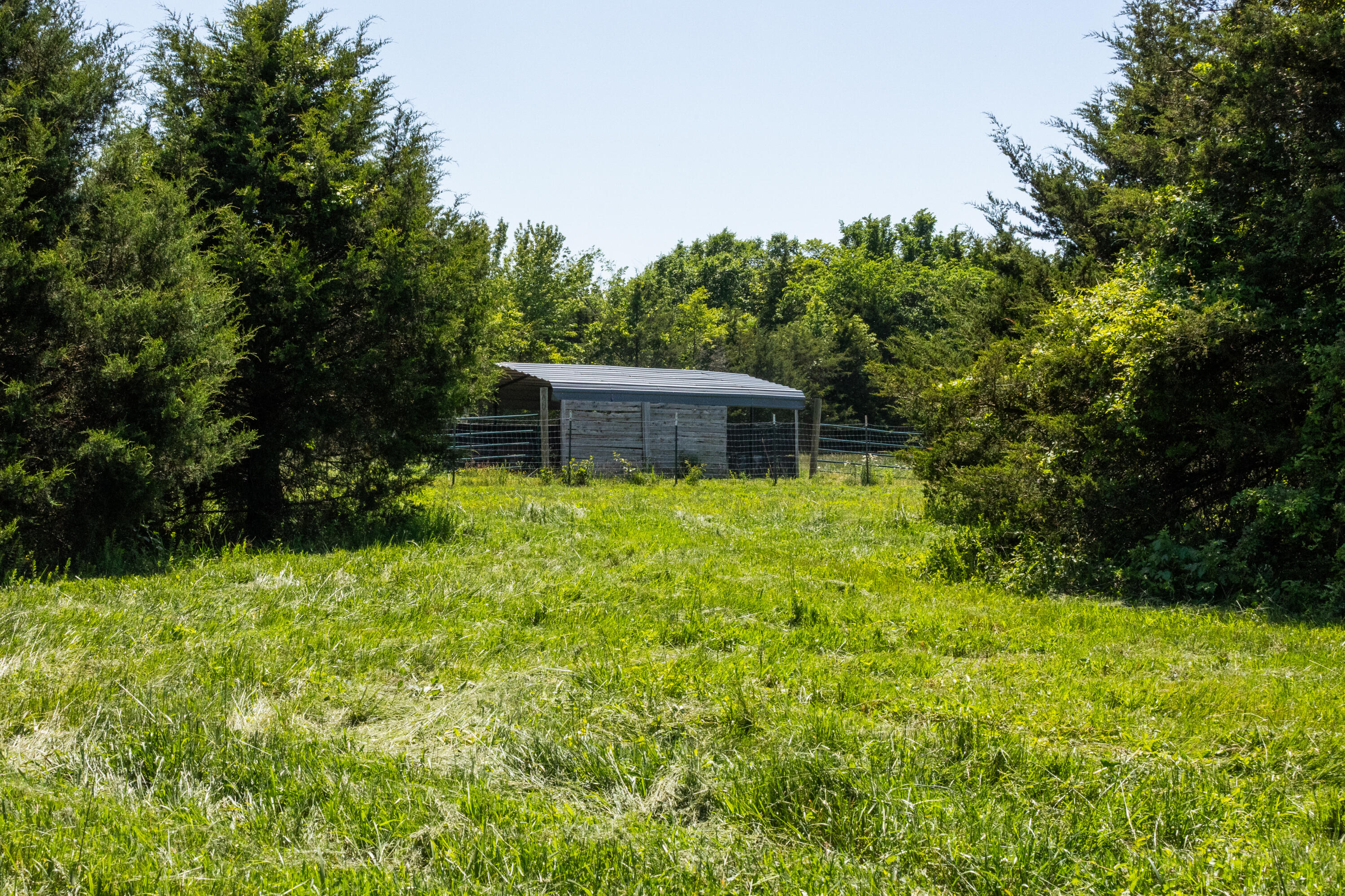 Photo 36 - Farm for sale – 1744 N Farm Road 71   Bois D Arc, MO
