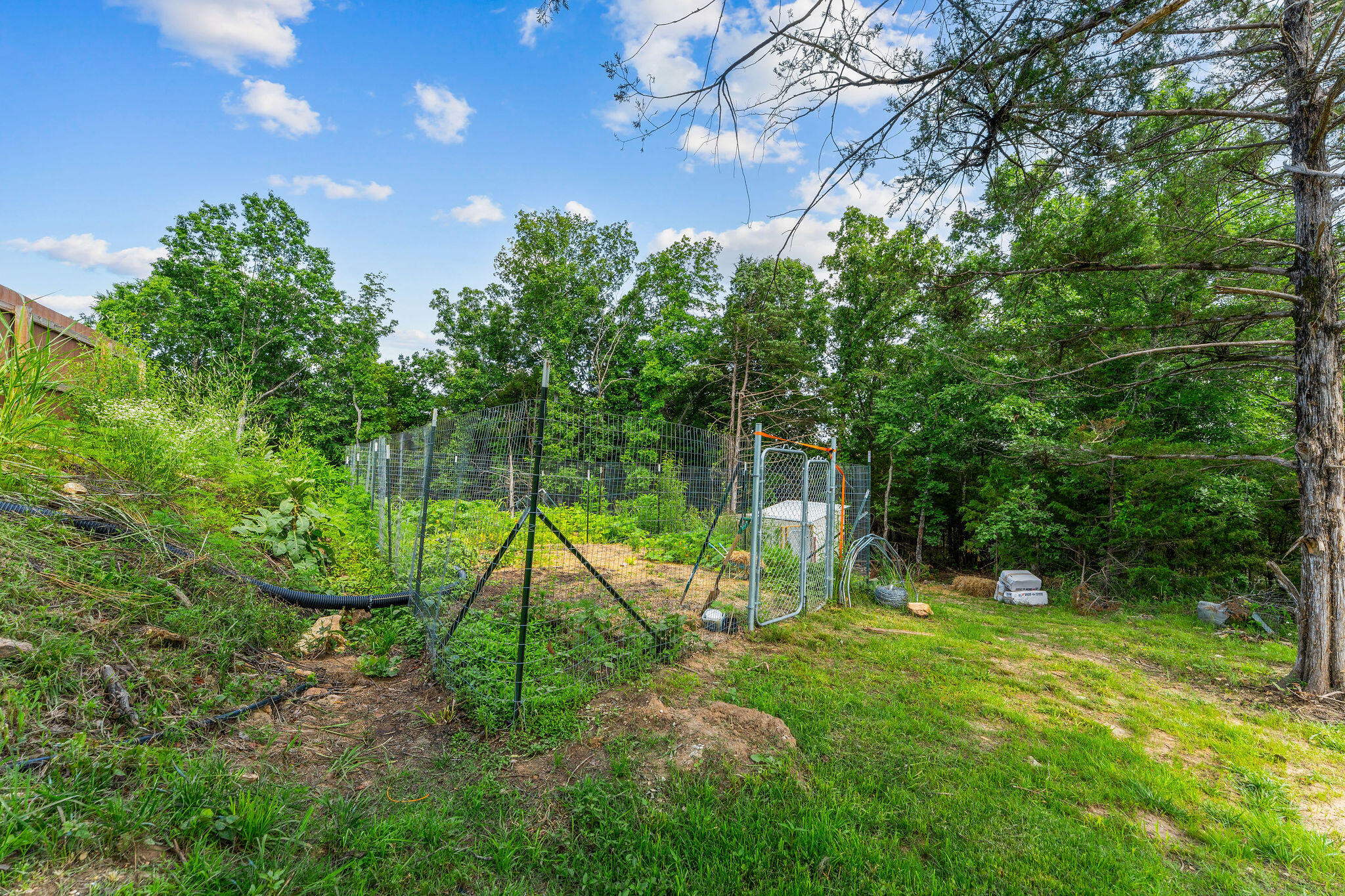 Photo 56 - Residential for sale – 770  Mills Hollow Road  Branson, MO
