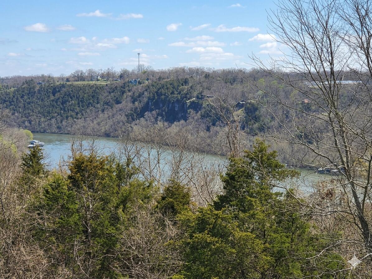 Photo 3 - Residential for sale – 1367  Mountain Grove Road  Branson, MO