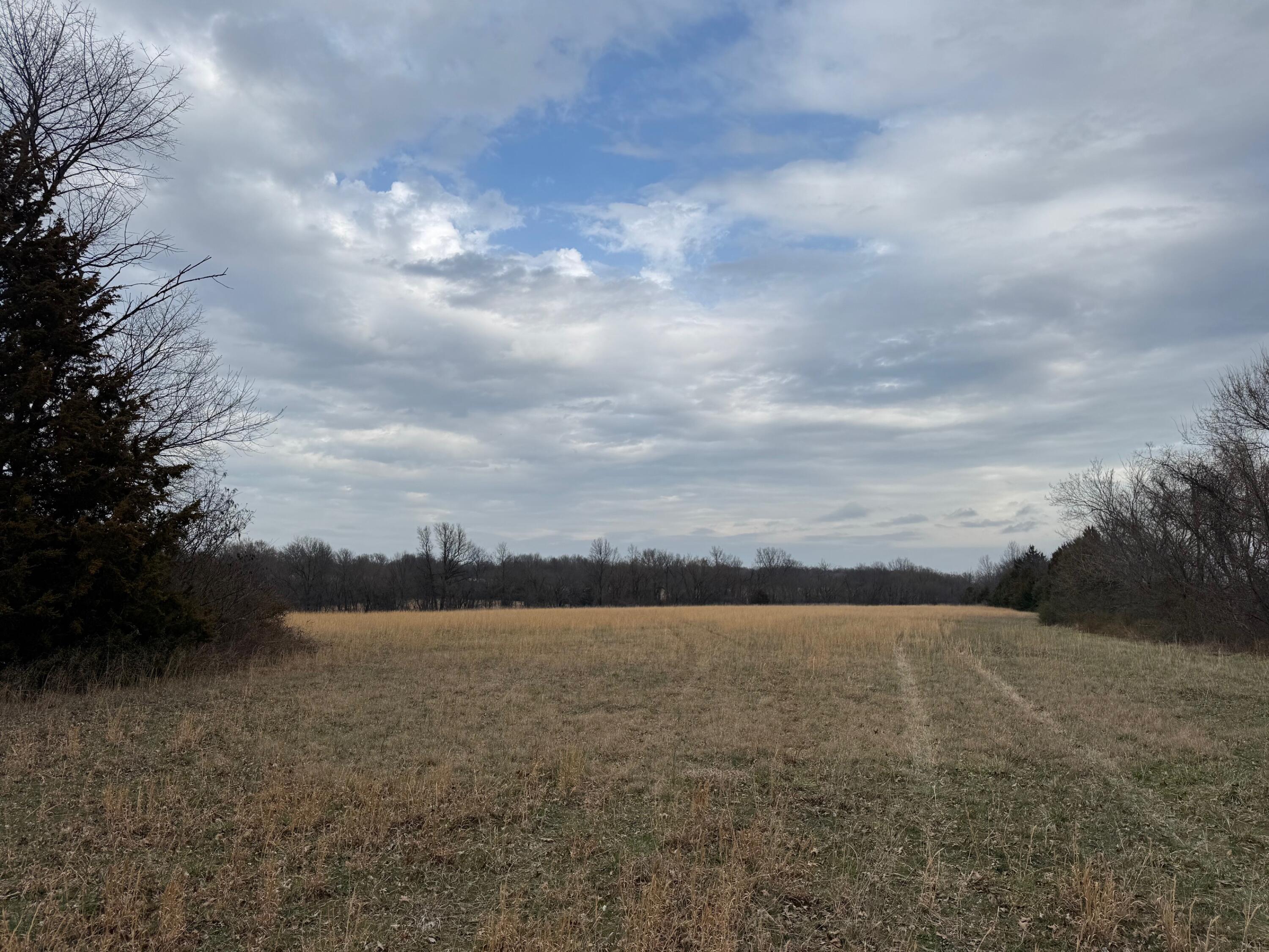 Photo 4 - Land for sale – Tbd  County Road 270   Asbury, MO