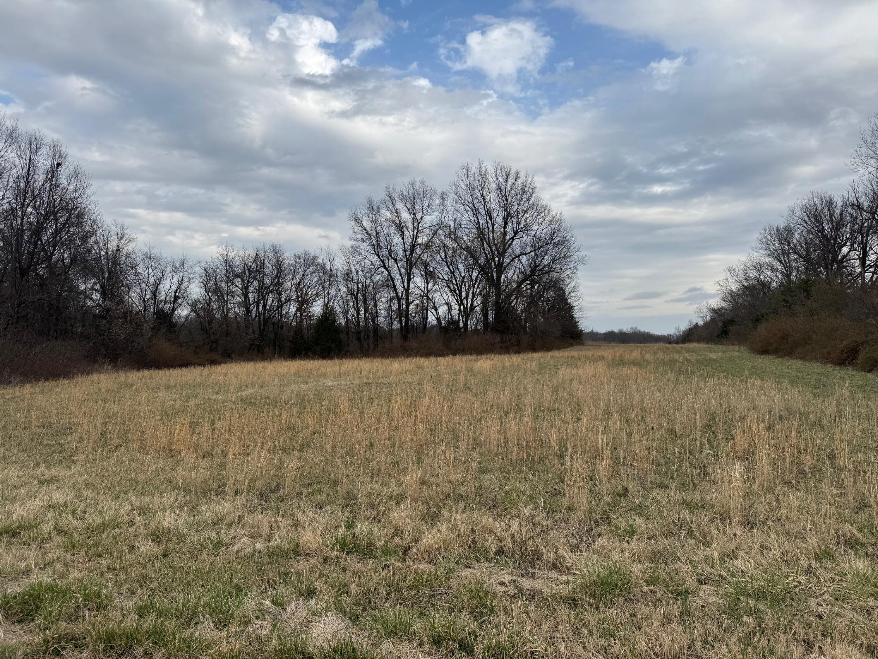 Photo 5 - Land for sale – Tbd  County Road 270   Asbury, MO