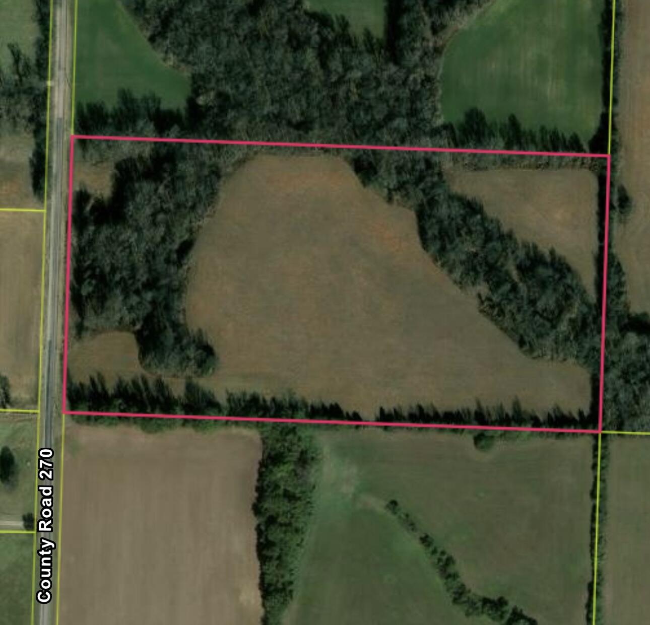 Photo 6 - Land for sale – Tbd  County Road 270   Asbury, MO