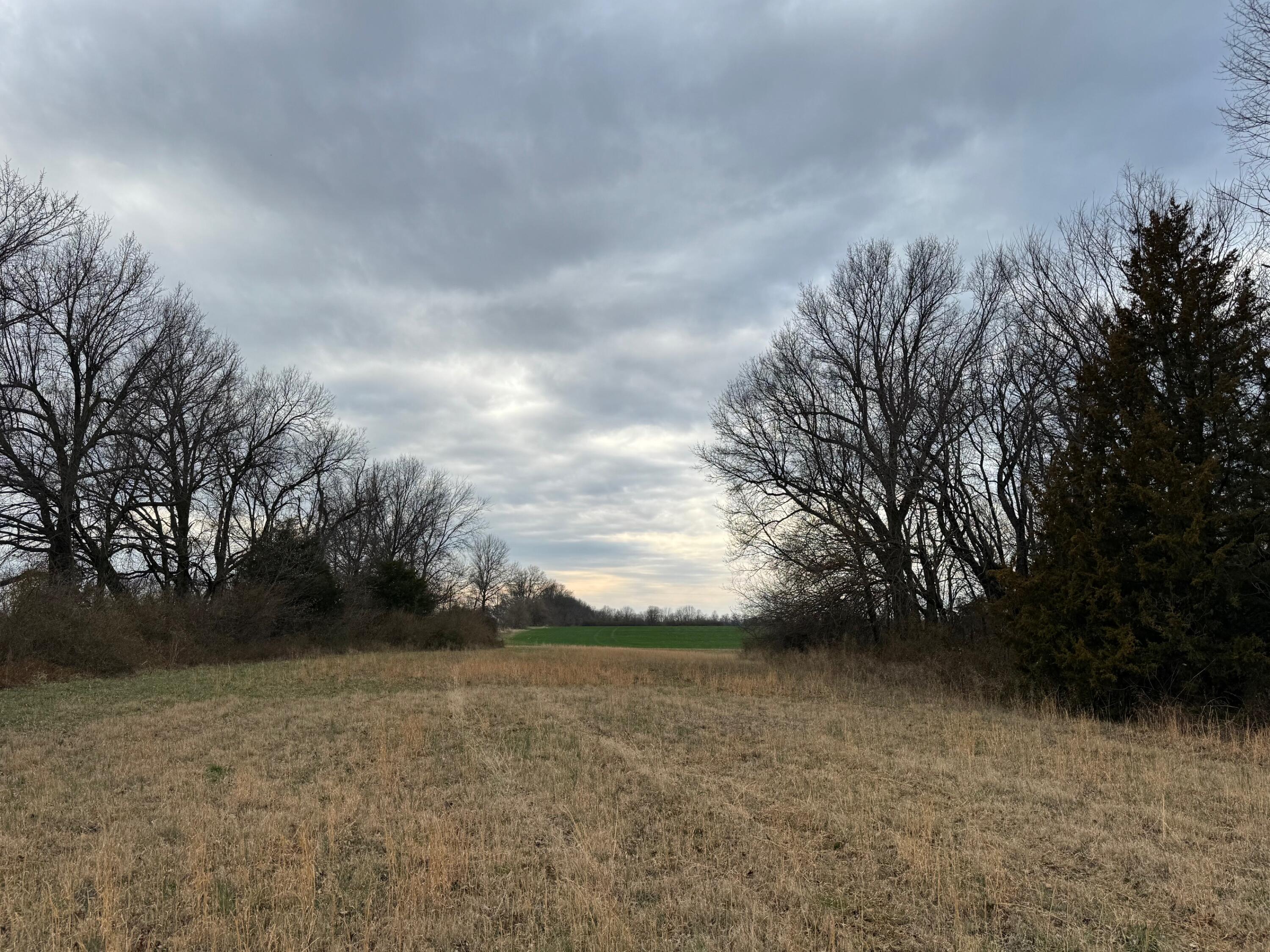 Photo 2 - Land for sale – Tbd  County Road 270   Asbury, MO
