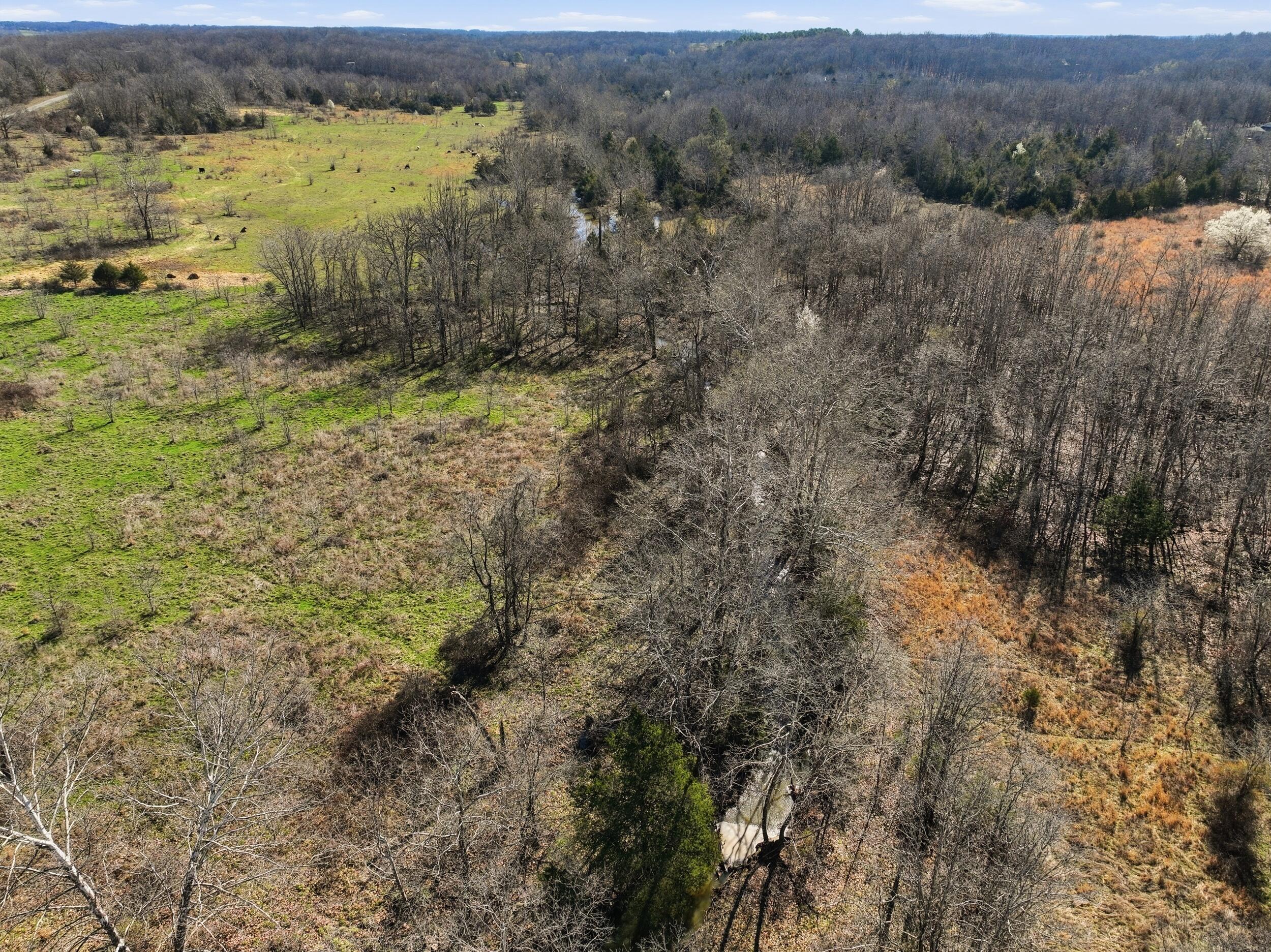 Photo 89 - Farm for sale – 8008  County Road 5090   West Plains, MO