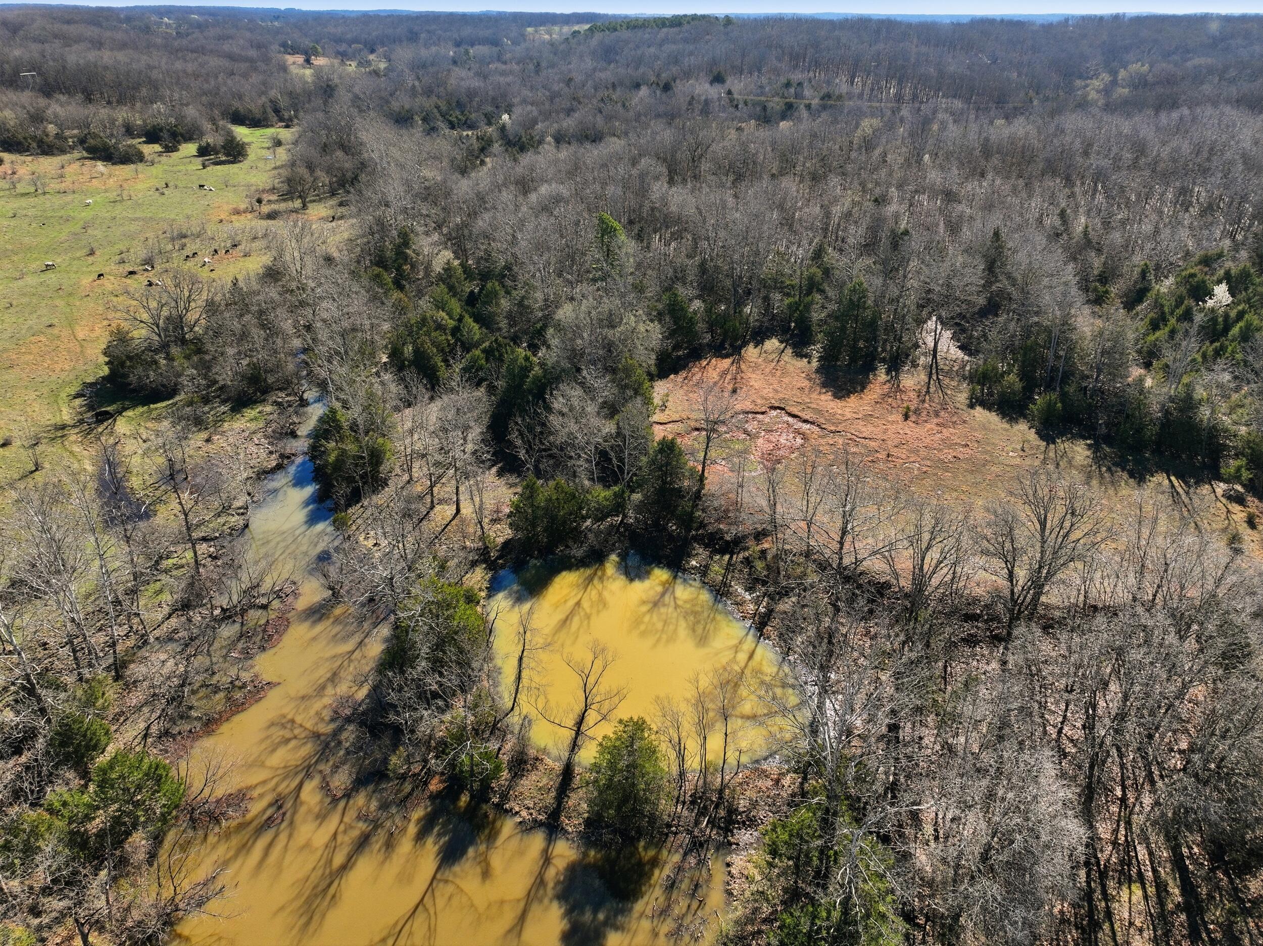 Photo 83 - Farm for sale – 8008  County Road 5090   West Plains, MO