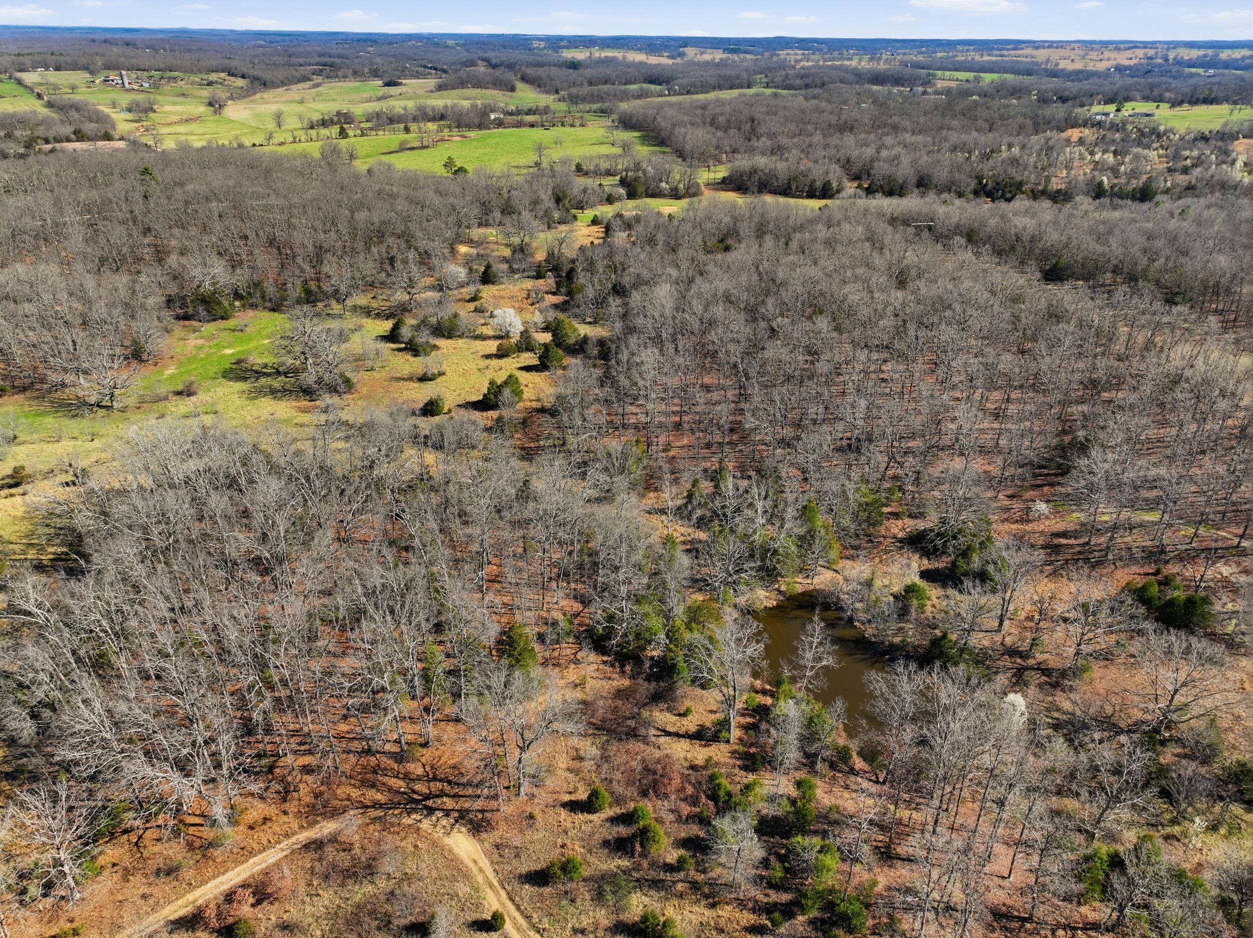 Photo 91 - Farm for sale – 8008  County Road 5090   West Plains, MO