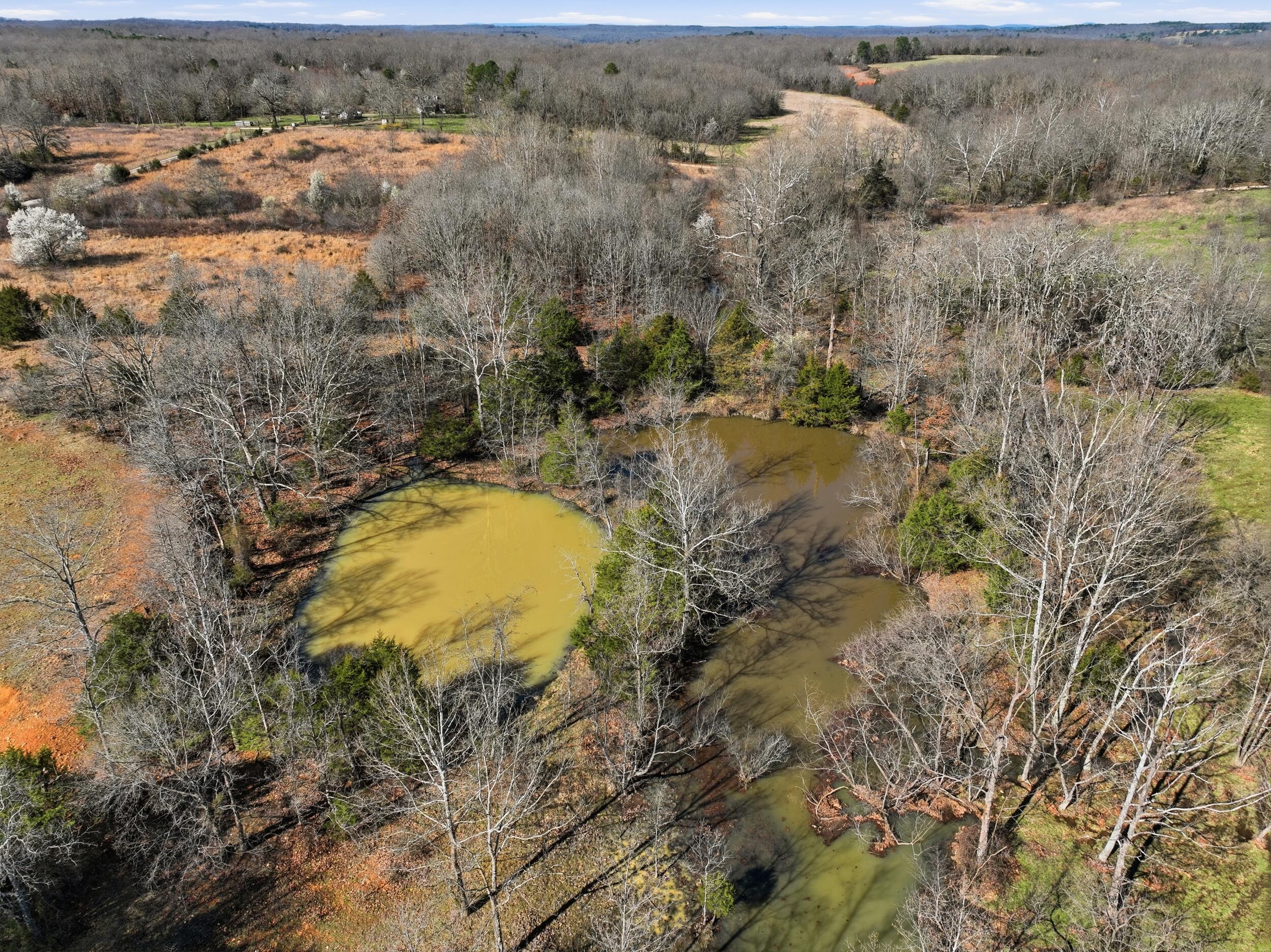 Photo 82 - Farm for sale – 8008  County Road 5090   West Plains, MO