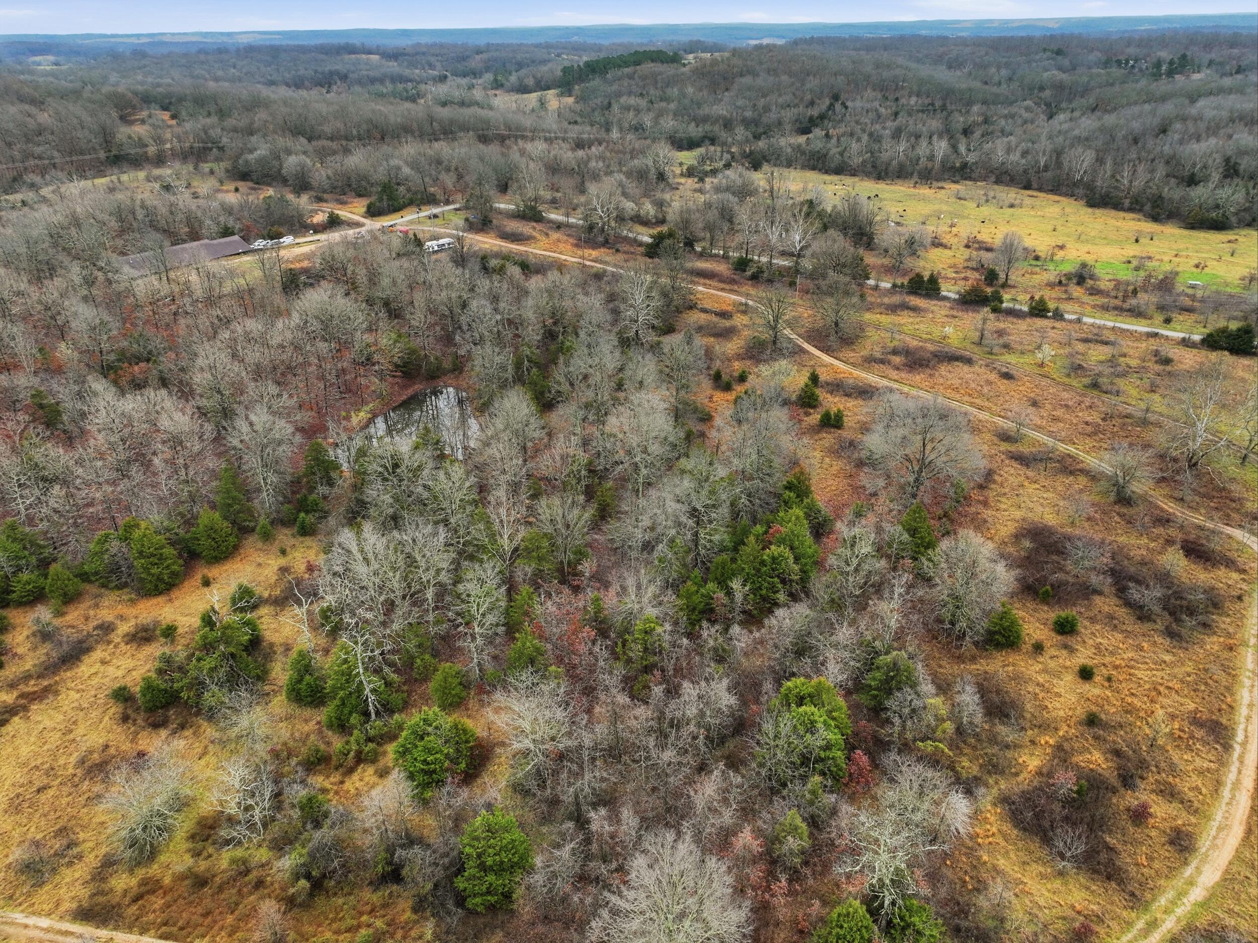 Photo 60 - Farm for sale – 8008  County Road 5090   West Plains, MO
