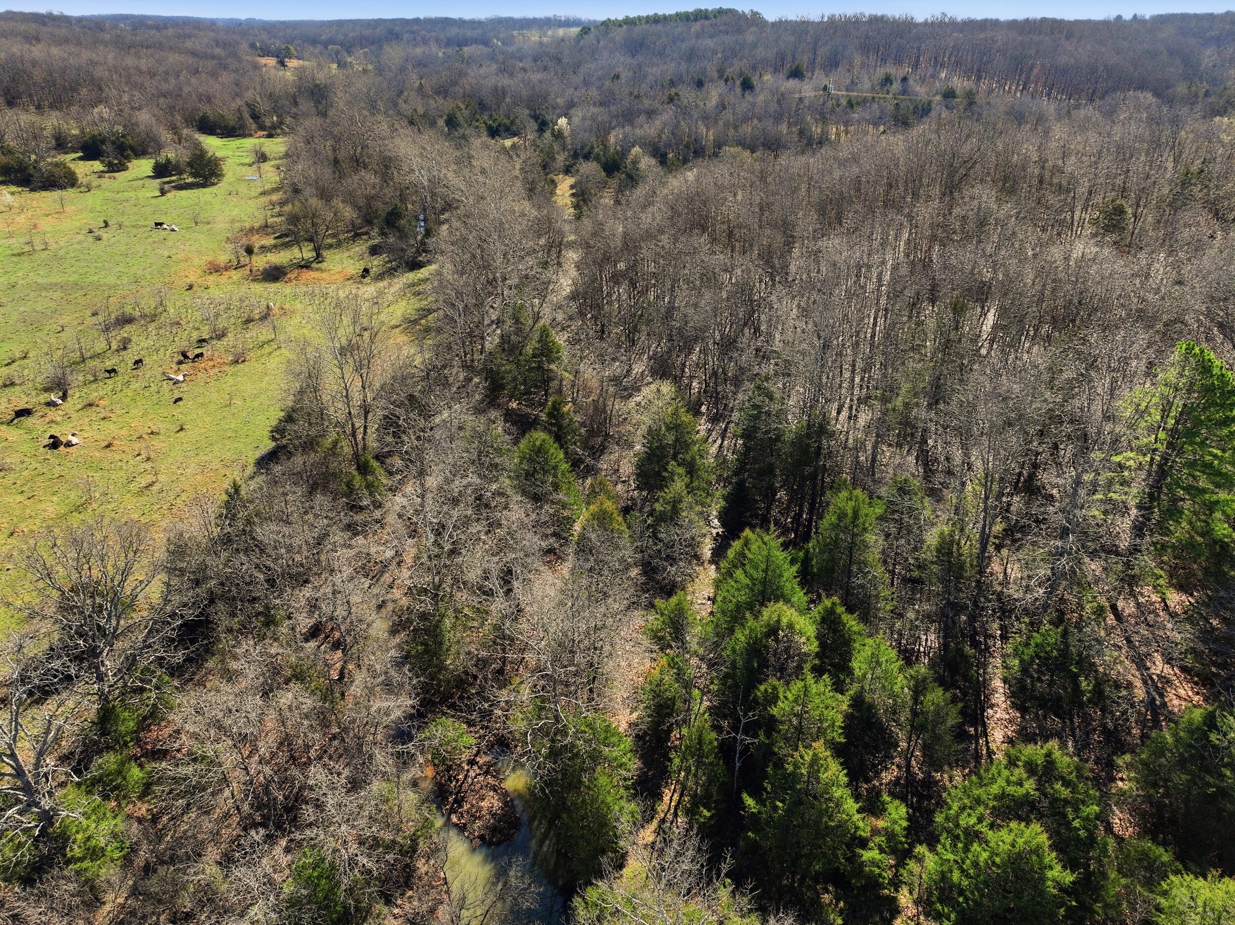 Photo 79 - Farm for sale – 8008  County Road 5090   West Plains, MO