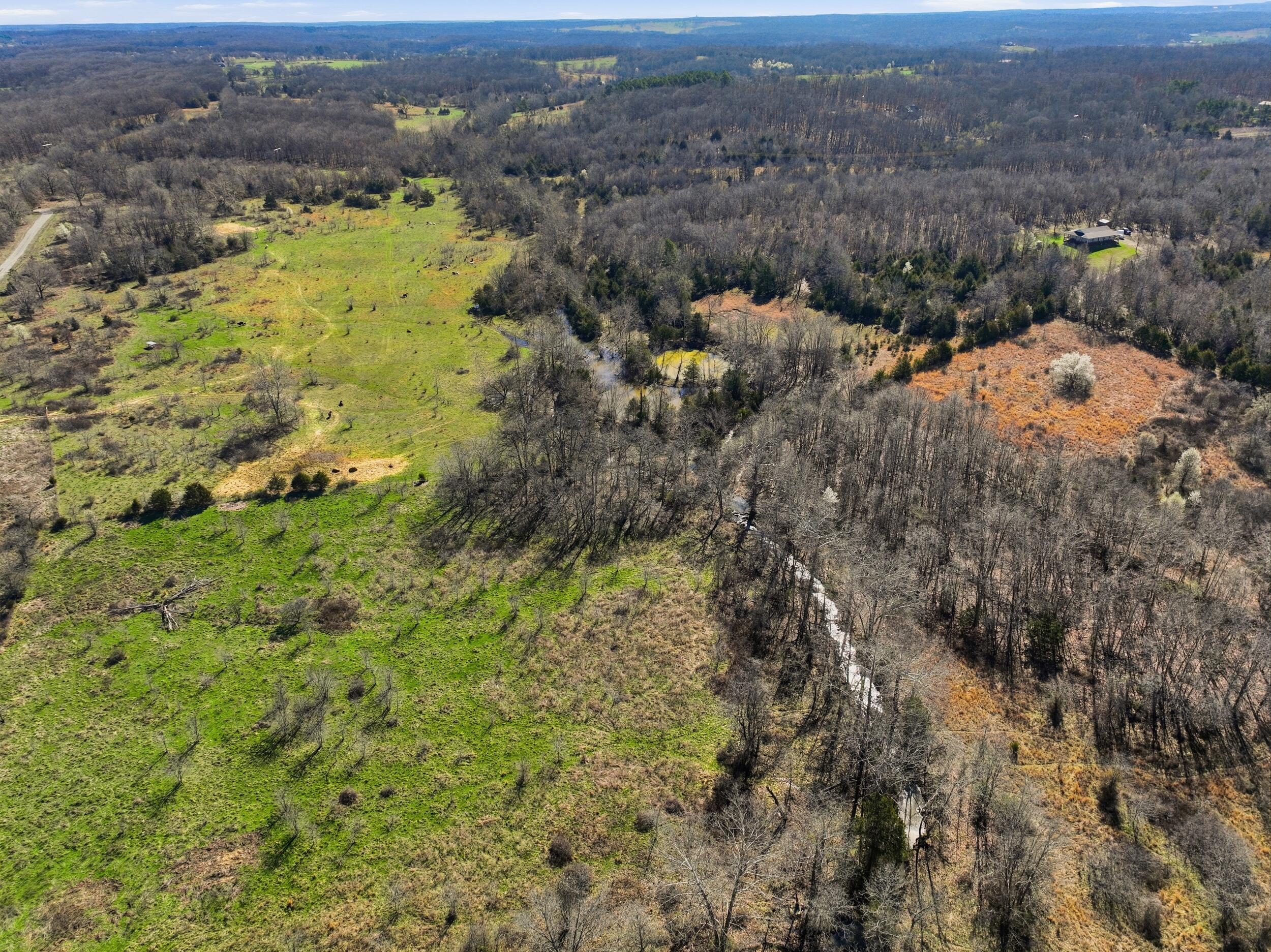 Photo 97 - Farm for sale – 8008  County Road 5090   West Plains, MO
