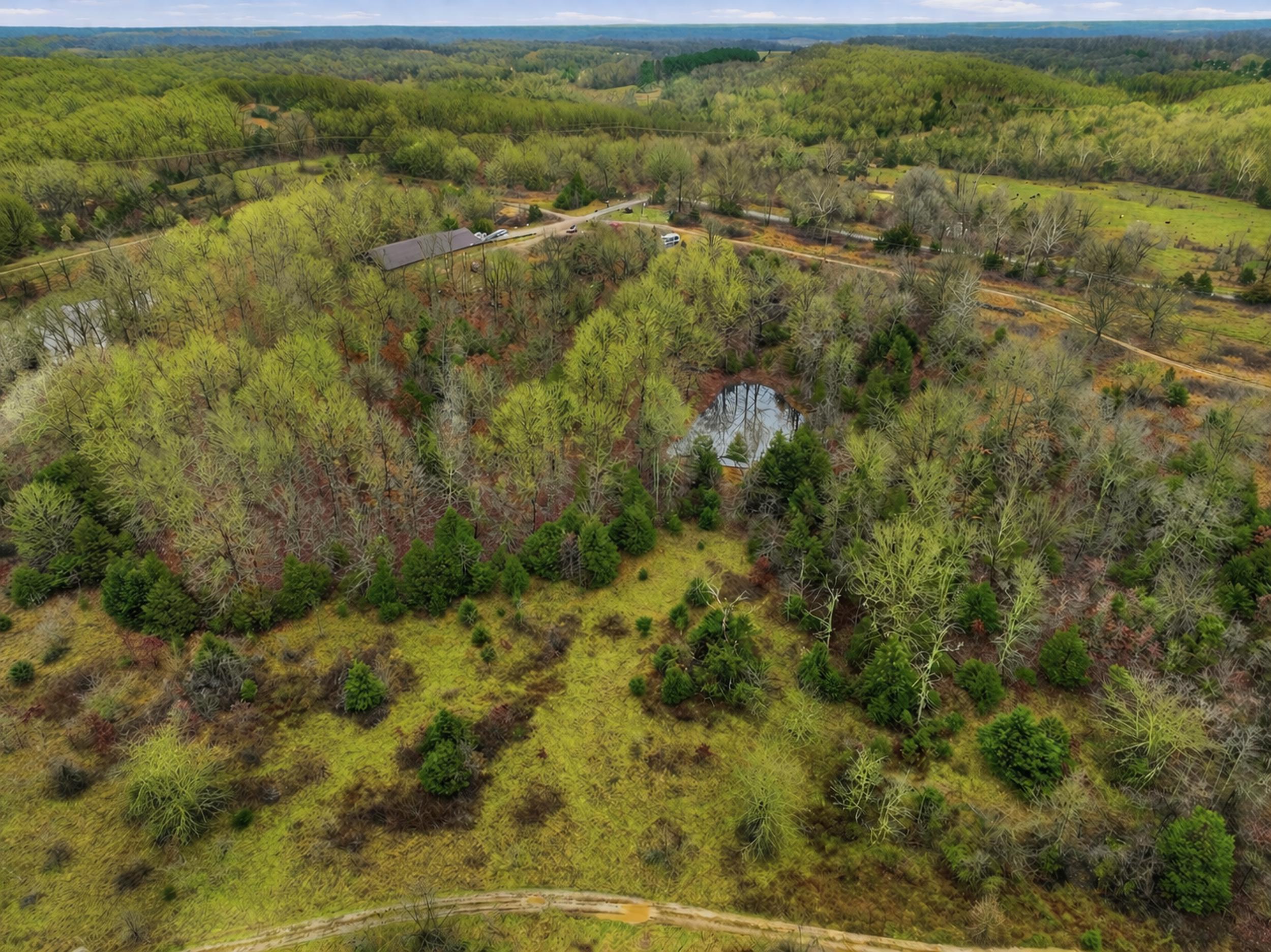 Photo 48 - Farm for sale – 8008  County Road 5090   West Plains, MO