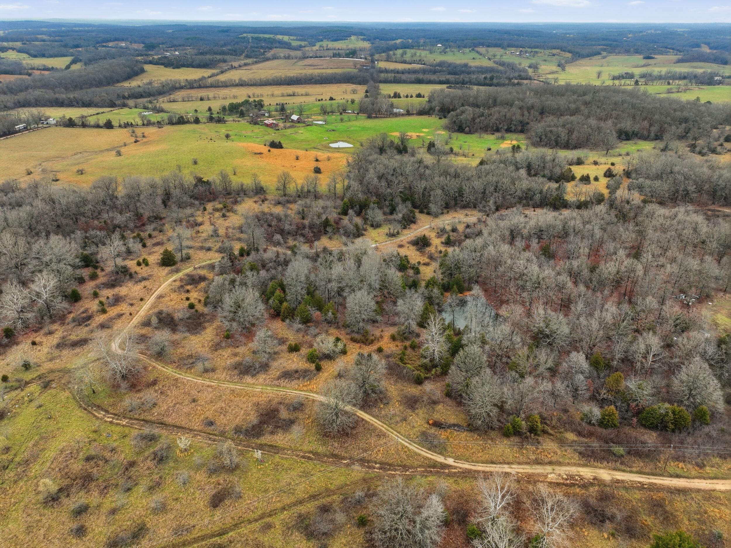 Photo 94 - Farm for sale – 8008  County Road 5090   West Plains, MO