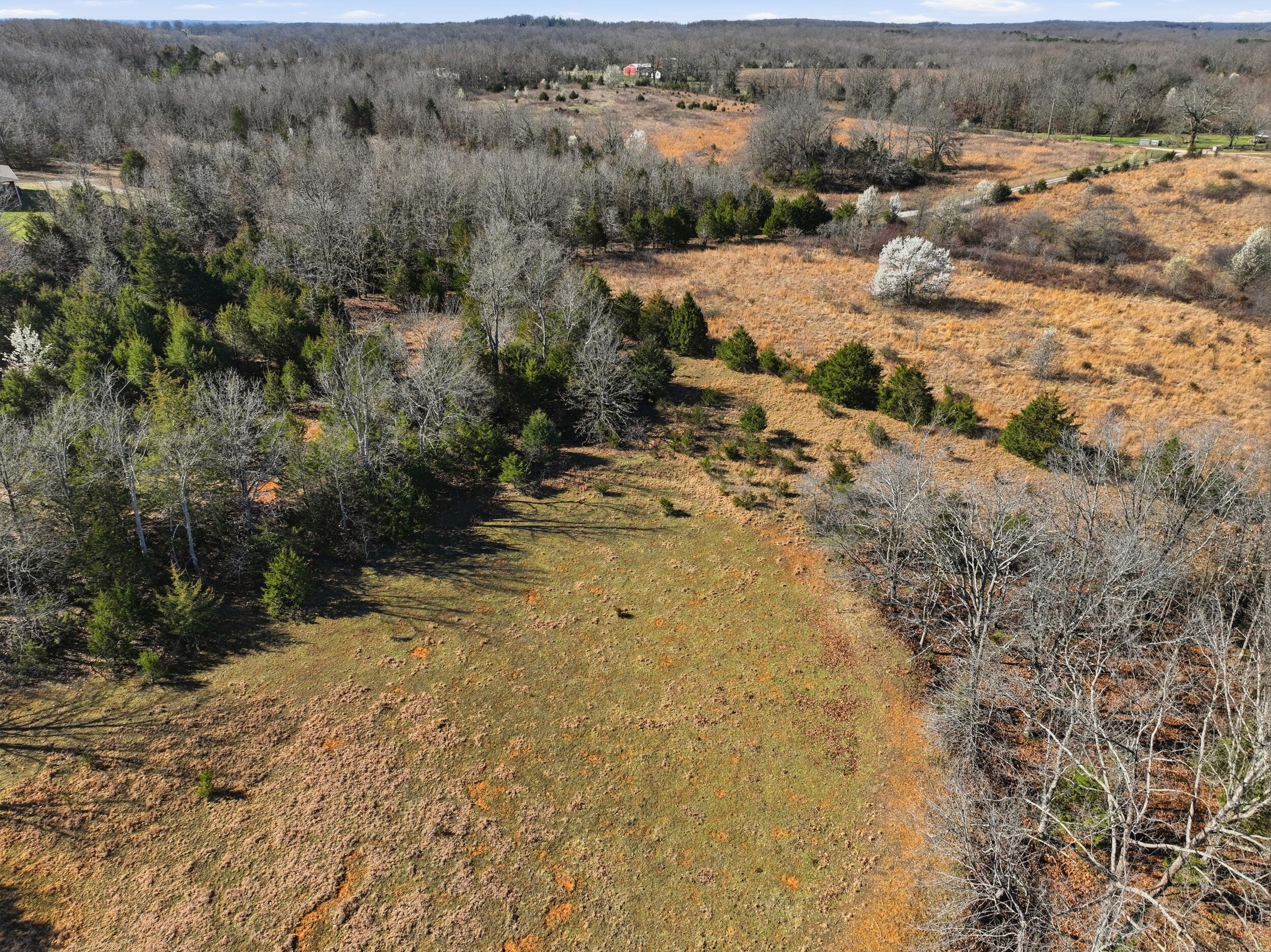 Photo 72 - Farm for sale – 8008  County Road 5090   West Plains, MO