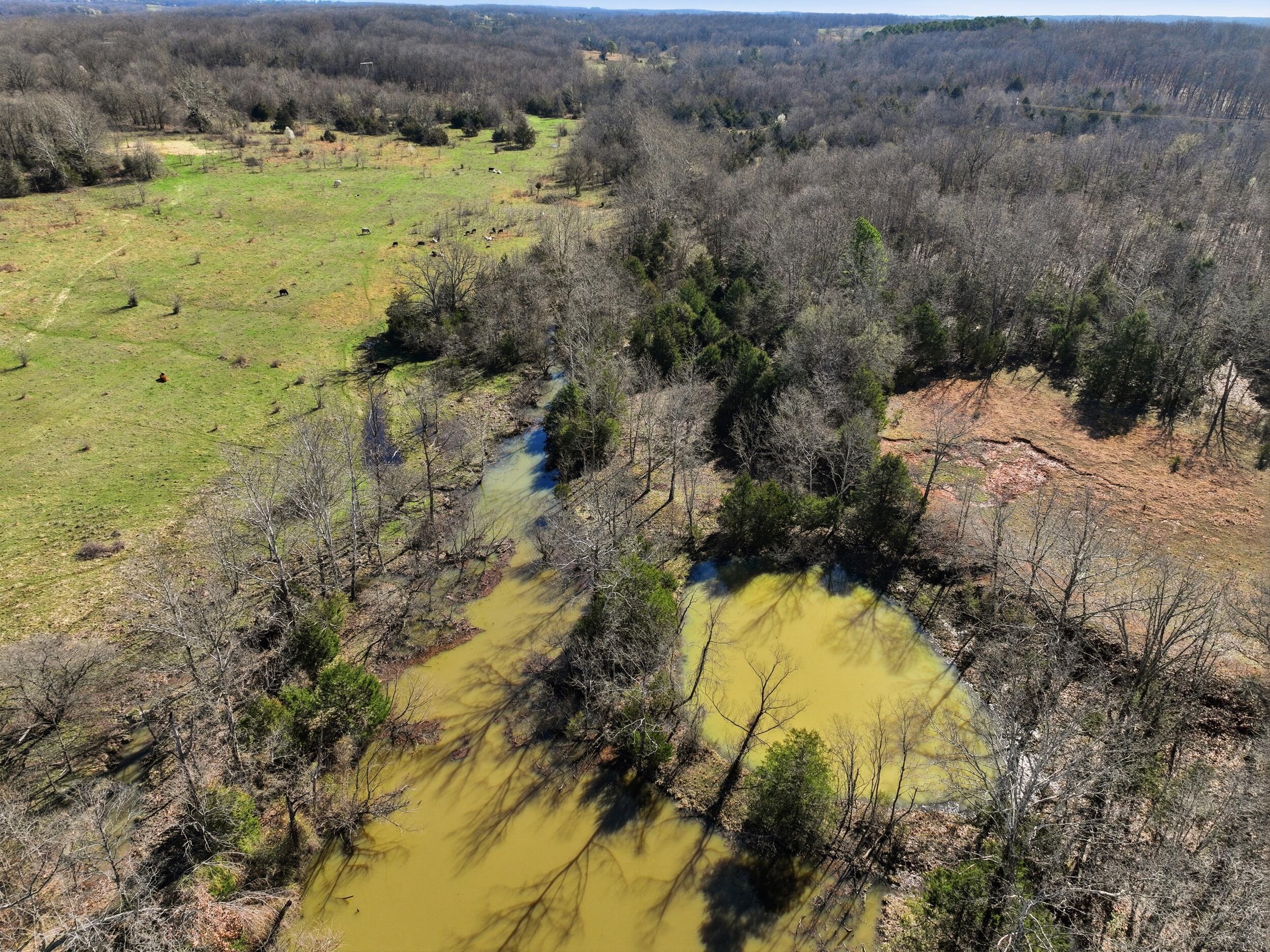 Photo 86 - Farm for sale – 8008  County Road 5090   West Plains, MO