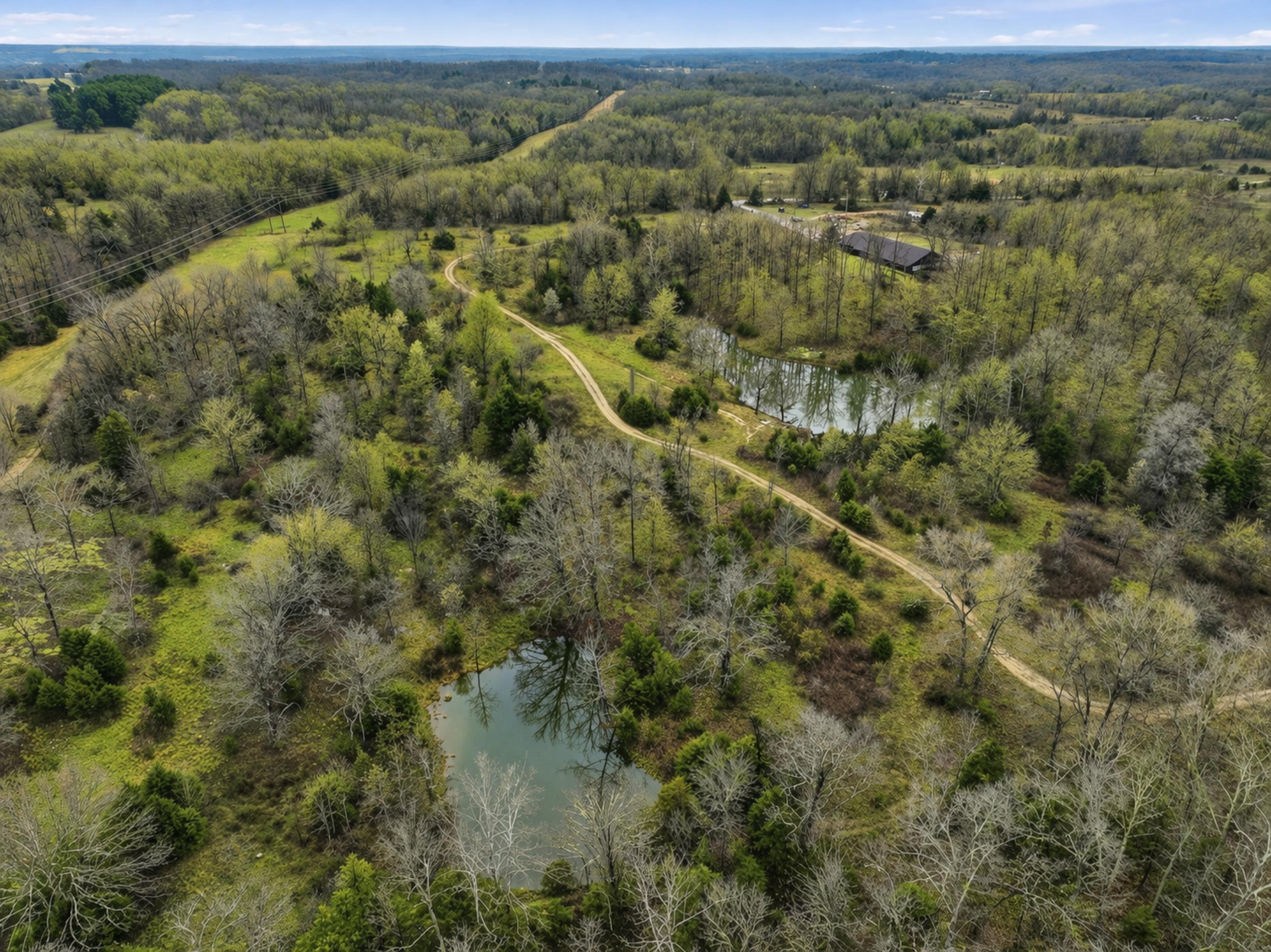 Photo 42 - Farm for sale – 8008  County Road 5090   West Plains, MO