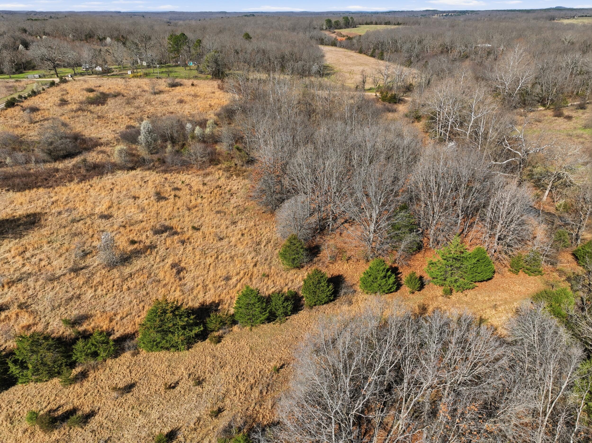 Photo 80 - Farm for sale – 8008  County Road 5090   West Plains, MO