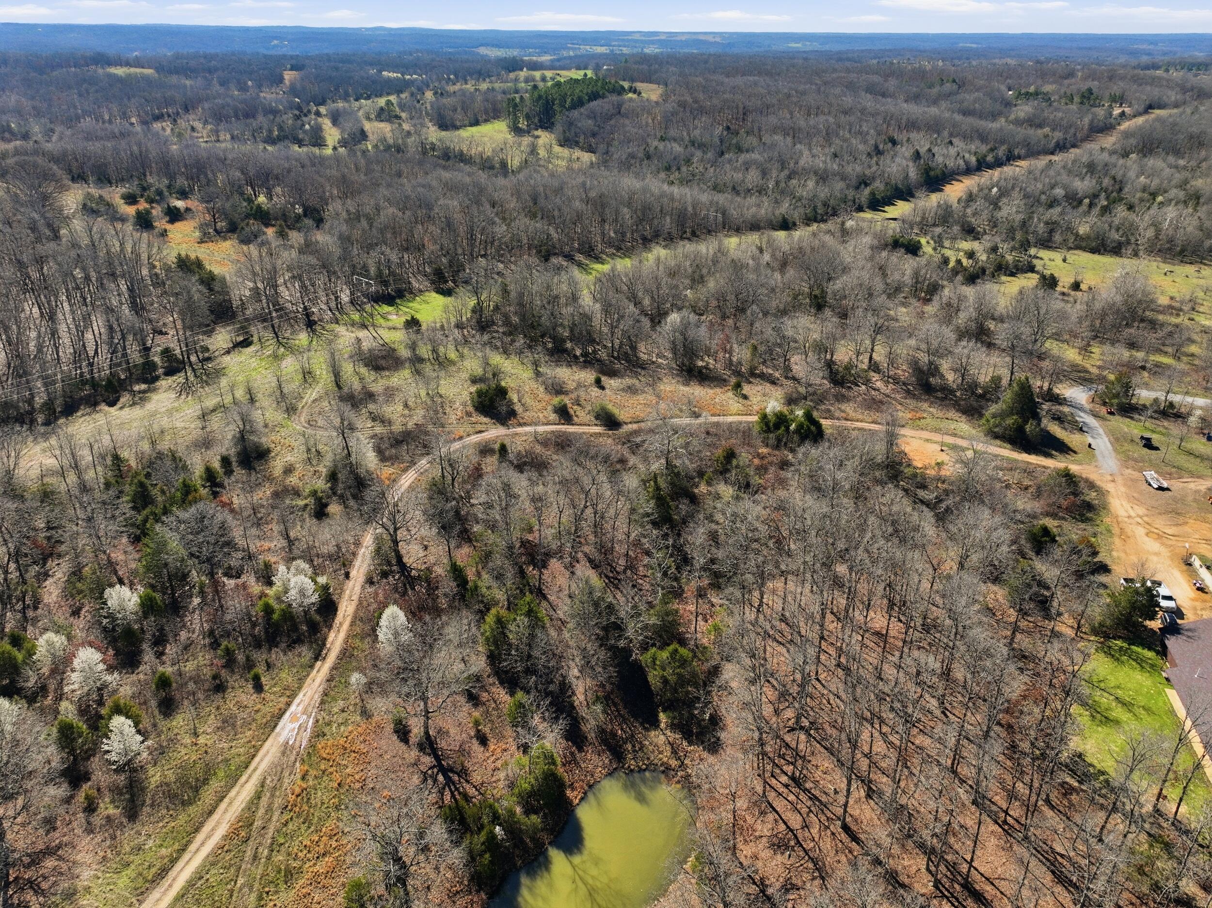 Photo 93 - Farm for sale – 8008  County Road 5090   West Plains, MO