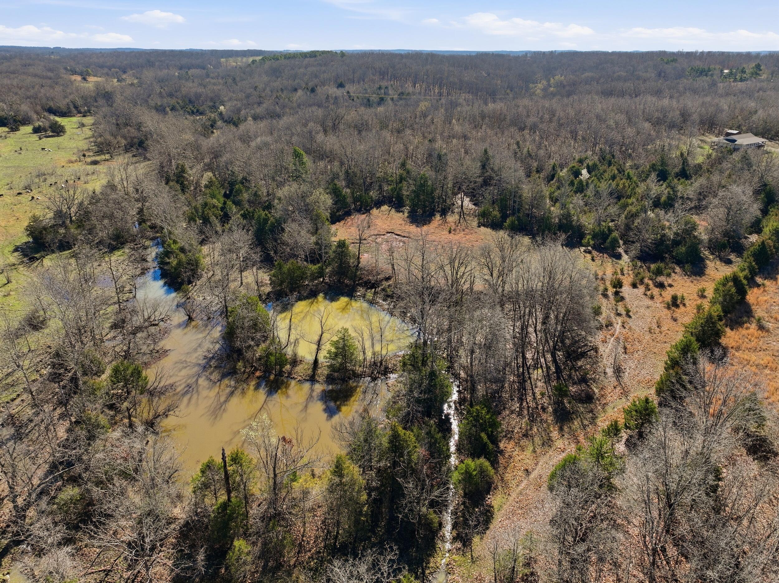 Photo 87 - Farm for sale – 8008  County Road 5090   West Plains, MO