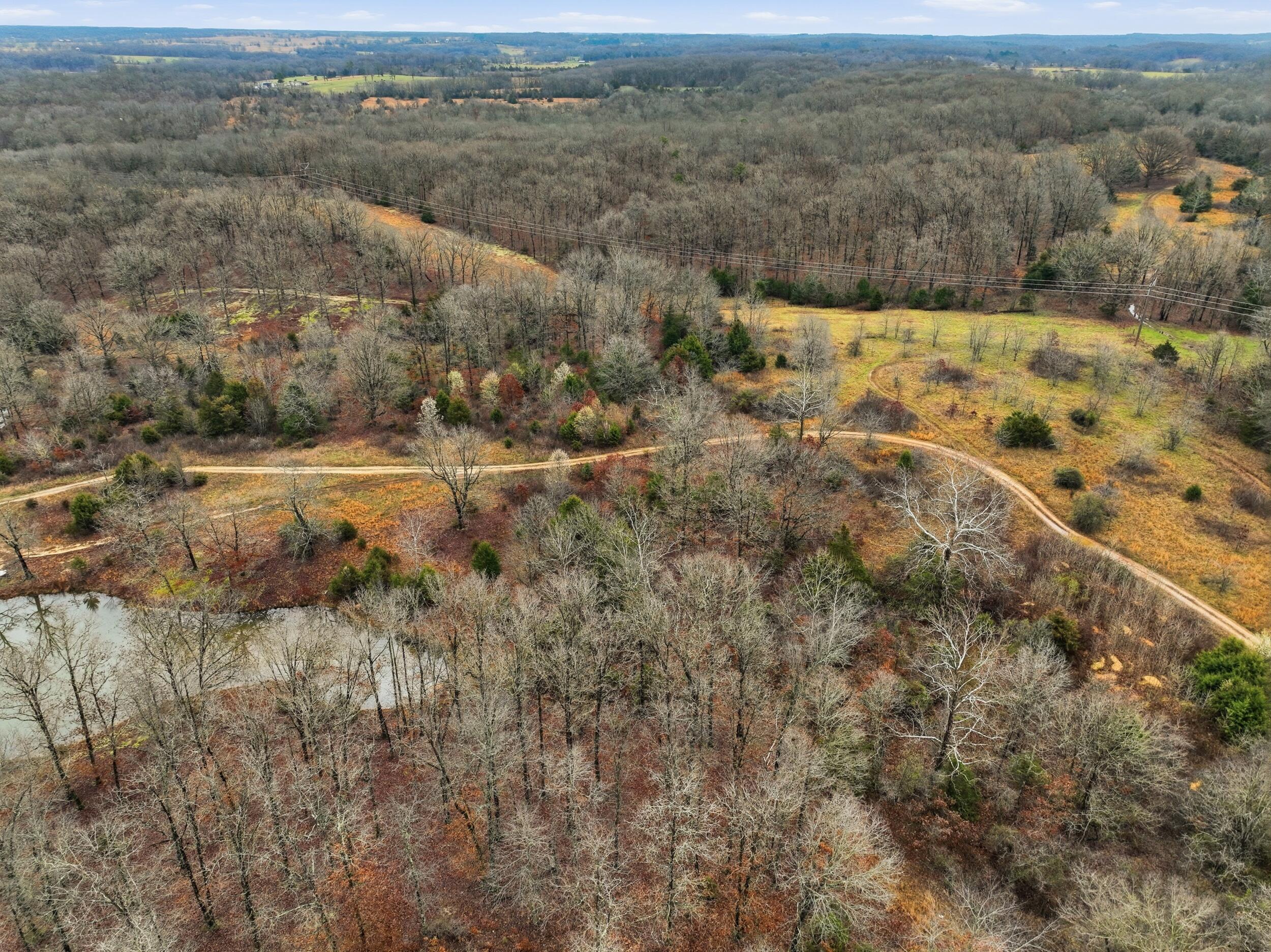 Photo 65 - Farm for sale – 8008  County Road 5090   West Plains, MO