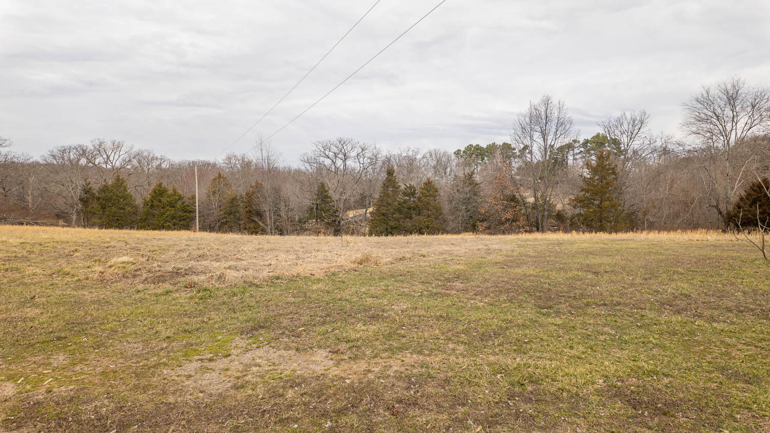 Photo 50 - Residential for sale – 1502  County Road 1210   Willow Springs, MO