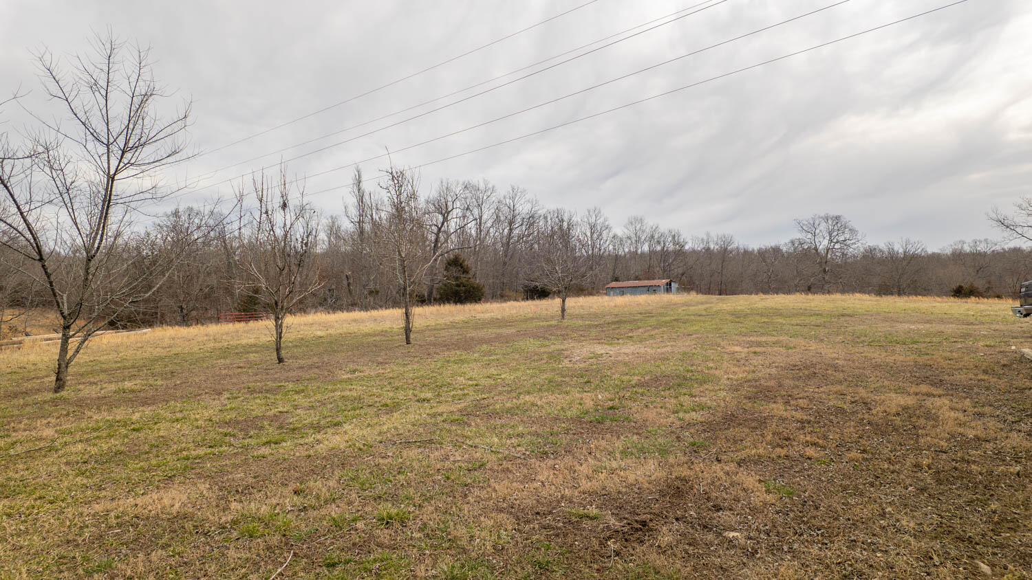 Photo 49 - Residential for sale – 1502  County Road 1210   Willow Springs, MO