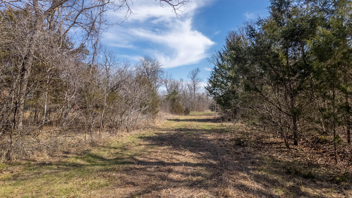Photo 13 - Land for sale – 000  Private Drive County Road 803b   Gainesville, MO
