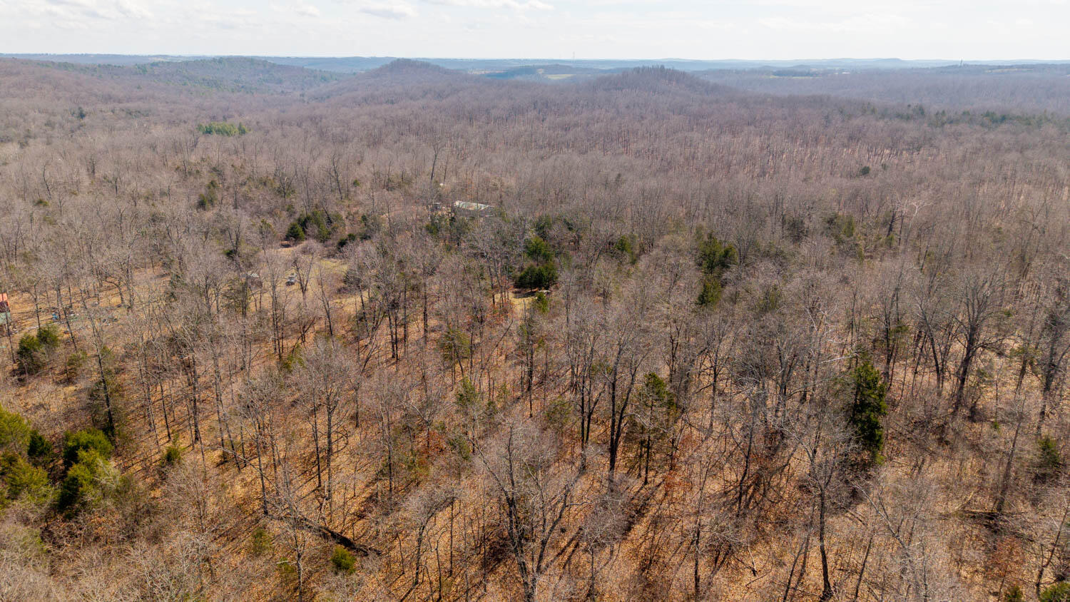 Photo 7 - Land for sale – 000  Private Drive County Road 803b   Gainesville, MO