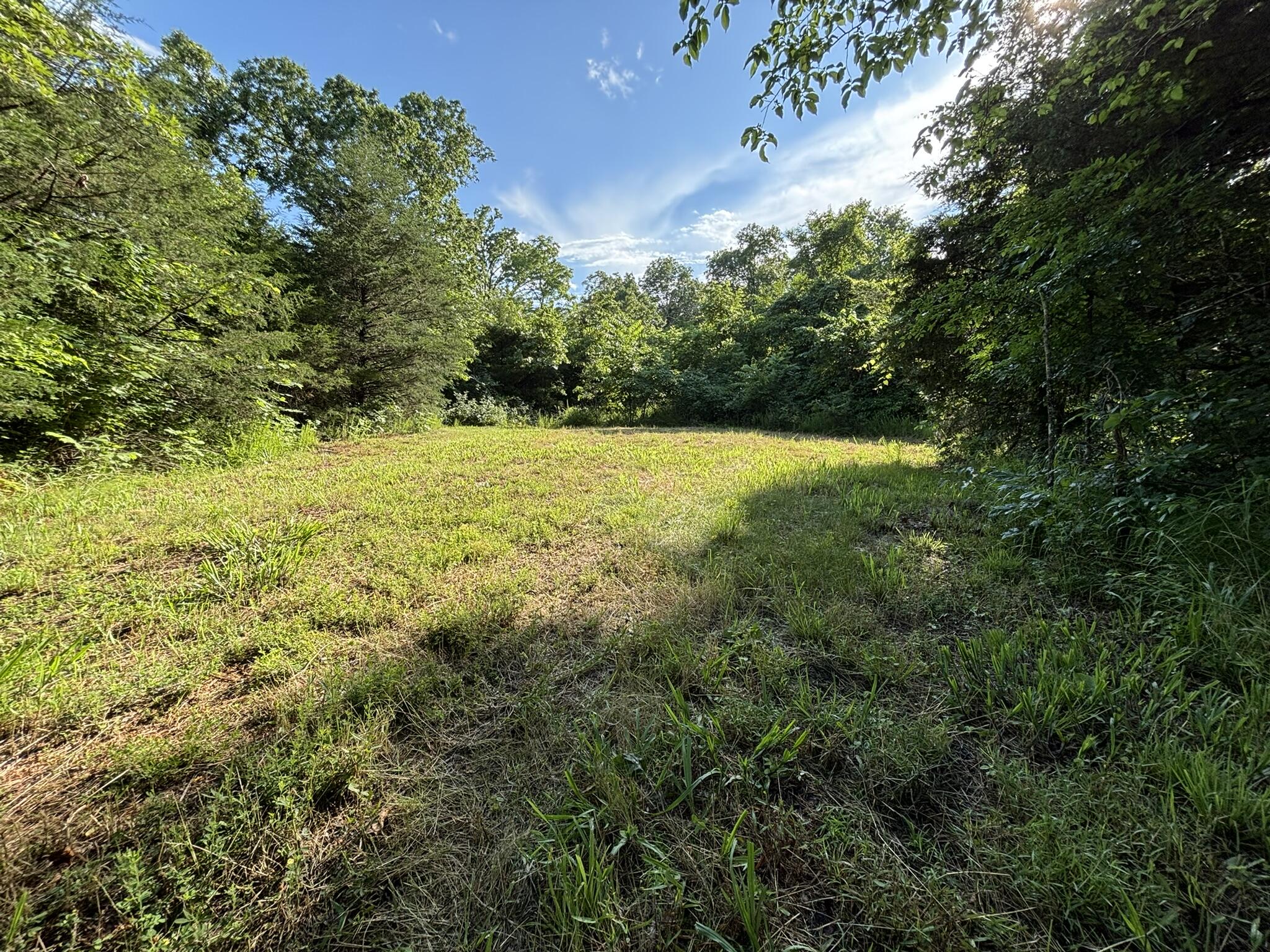 Photo 6 - Land for sale – 000  Private Drive County Road 803b   Gainesville, MO