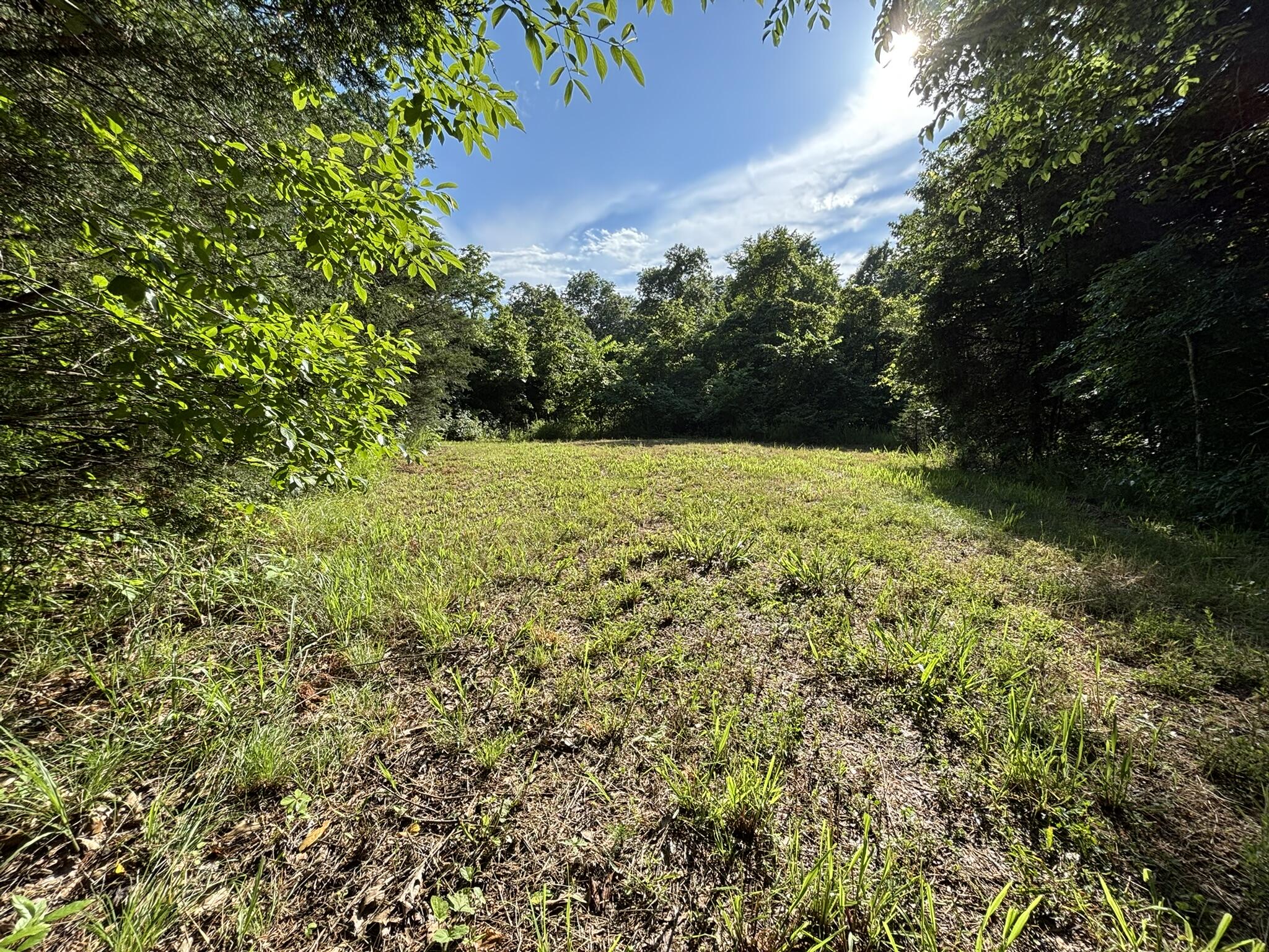 Land for sale – 000  Private Drive County Road 803b   Gainesville, MO
