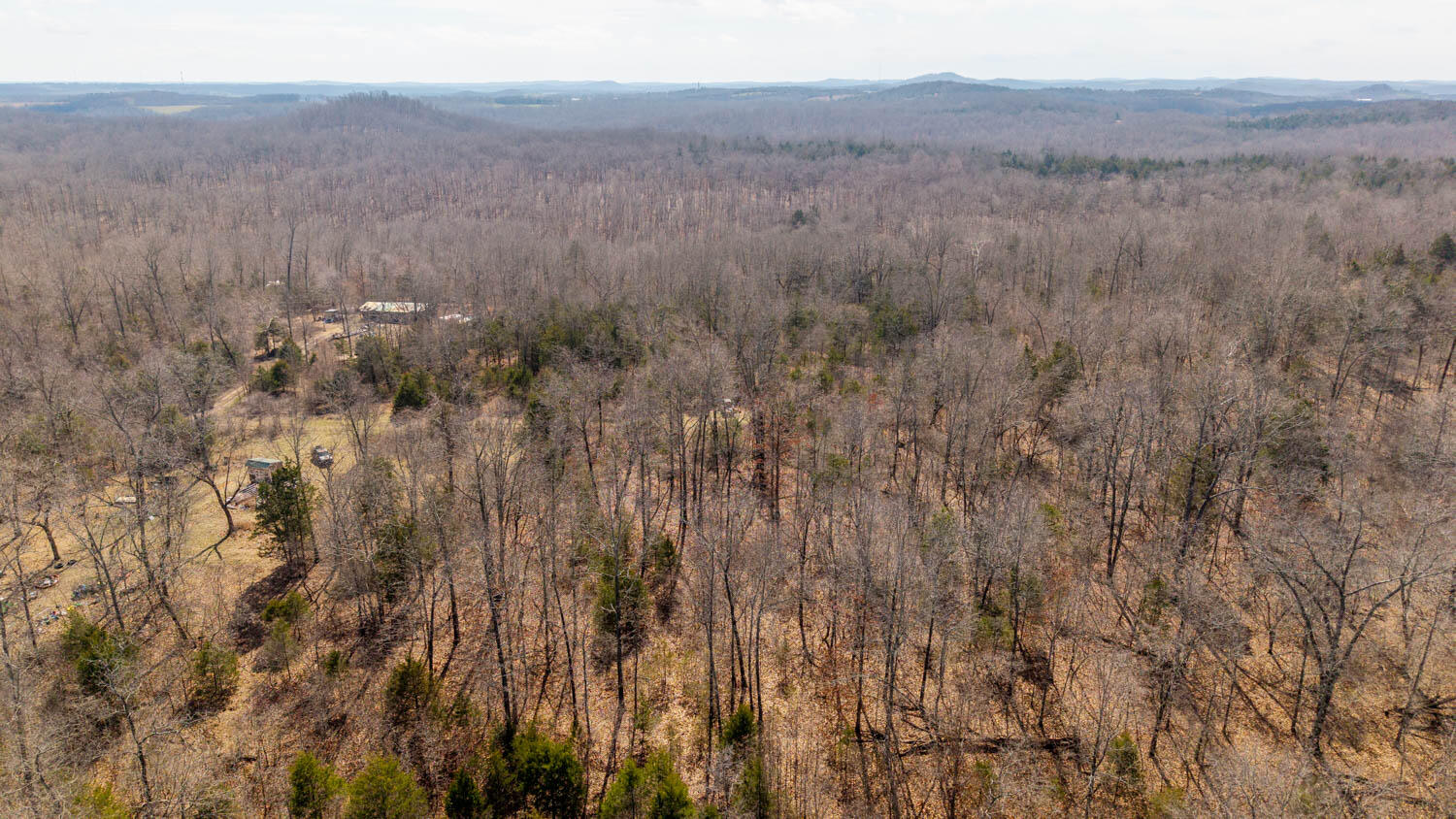 Photo 8 - Land for sale – 000  Private Drive County Road 803b   Gainesville, MO