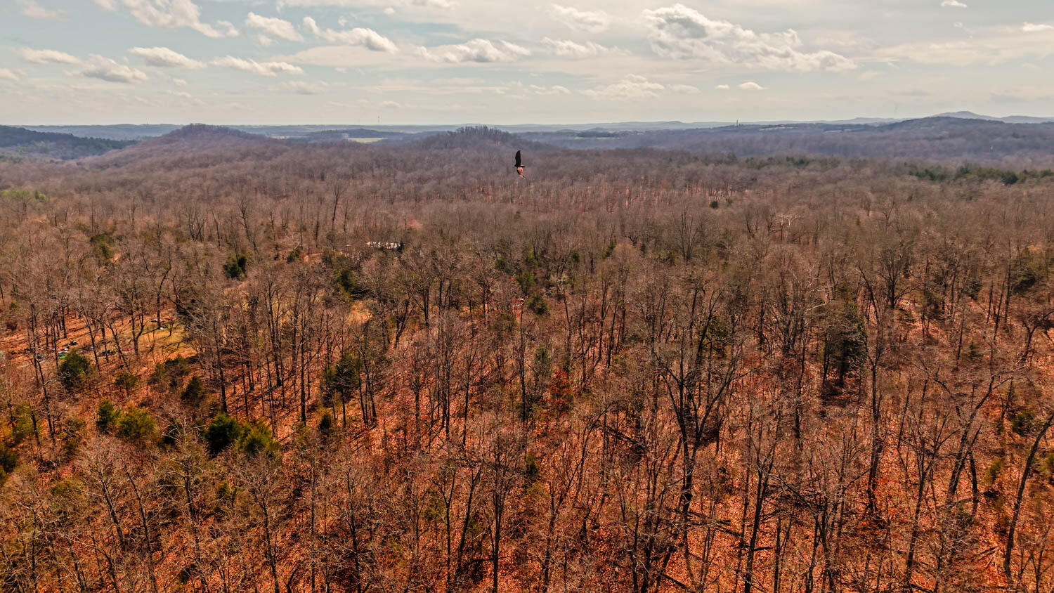 Photo 9 - Land for sale – 000  Private Drive County Road 803b   Gainesville, MO