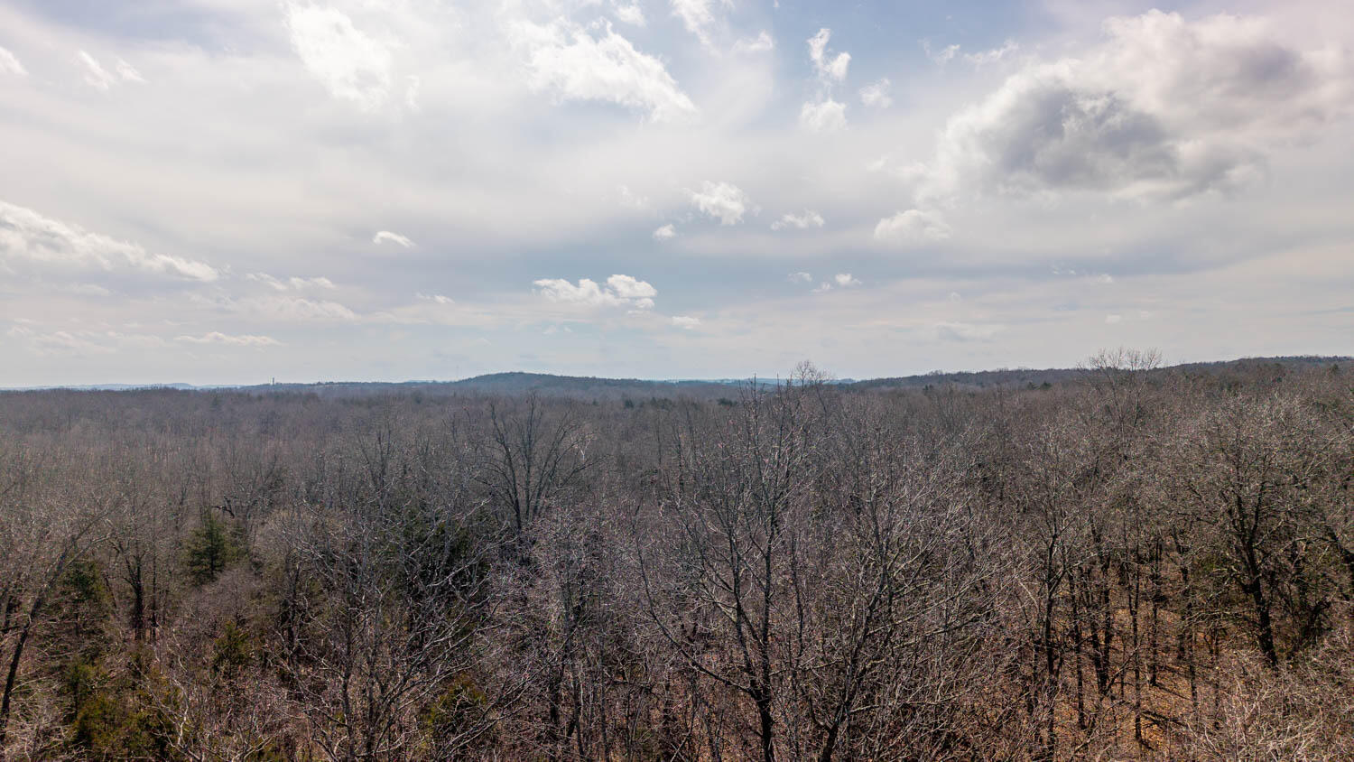 Photo 12 - Land for sale – 000  Private Drive County Road 803b   Gainesville, MO