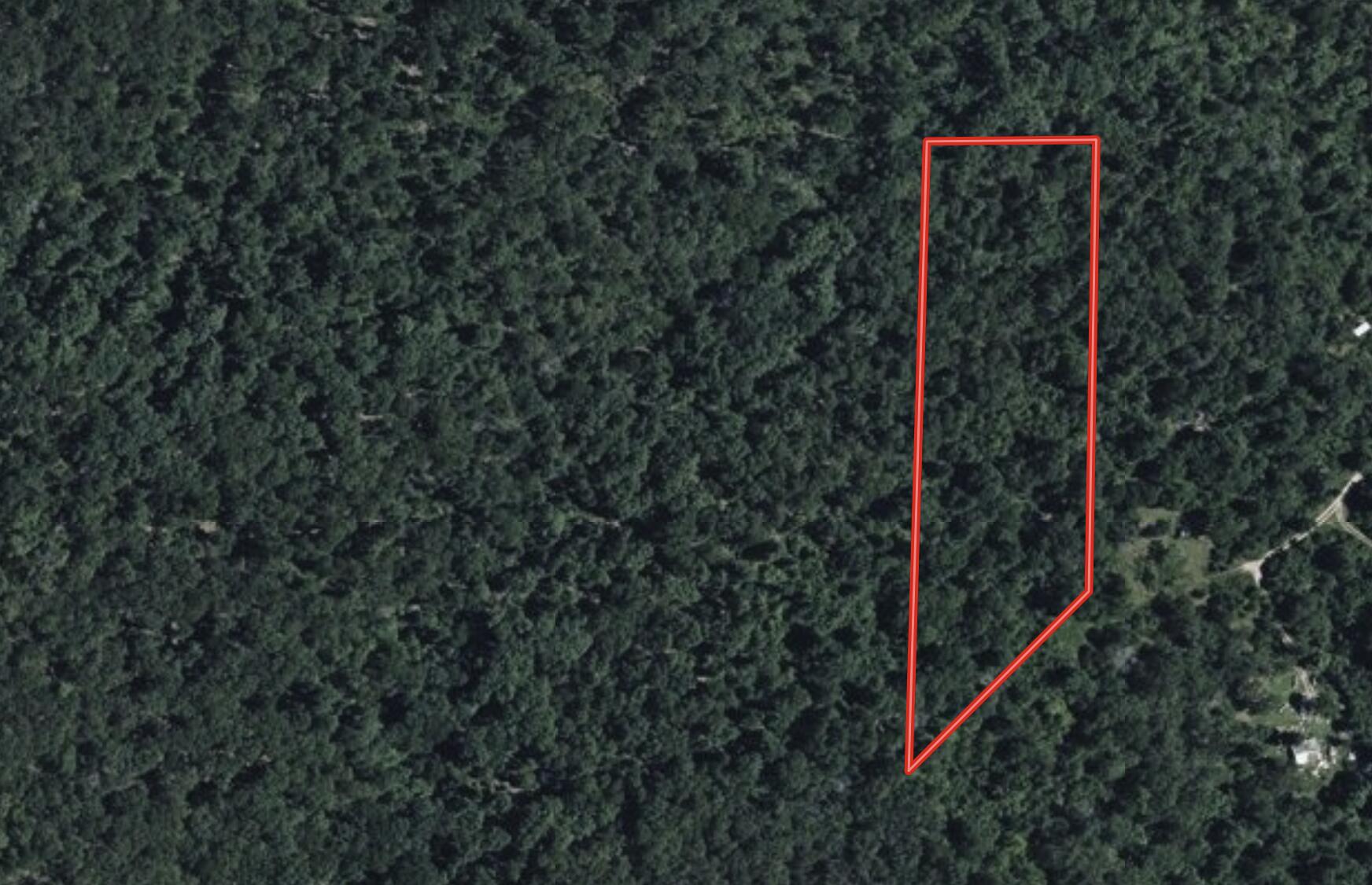 Photo 2 - Land for sale – 000  Private Drive County Road 803b   Gainesville, MO