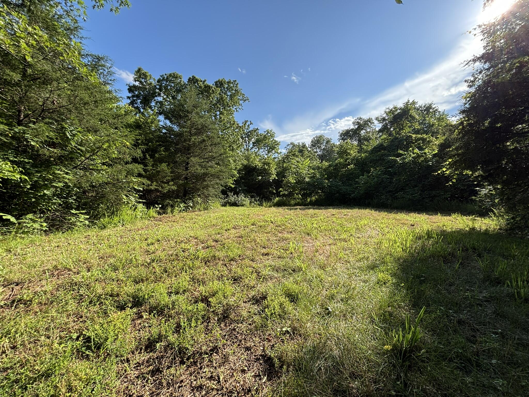 Photo 3 - Land for sale – 000  Private Drive County Road 803b   Gainesville, MO