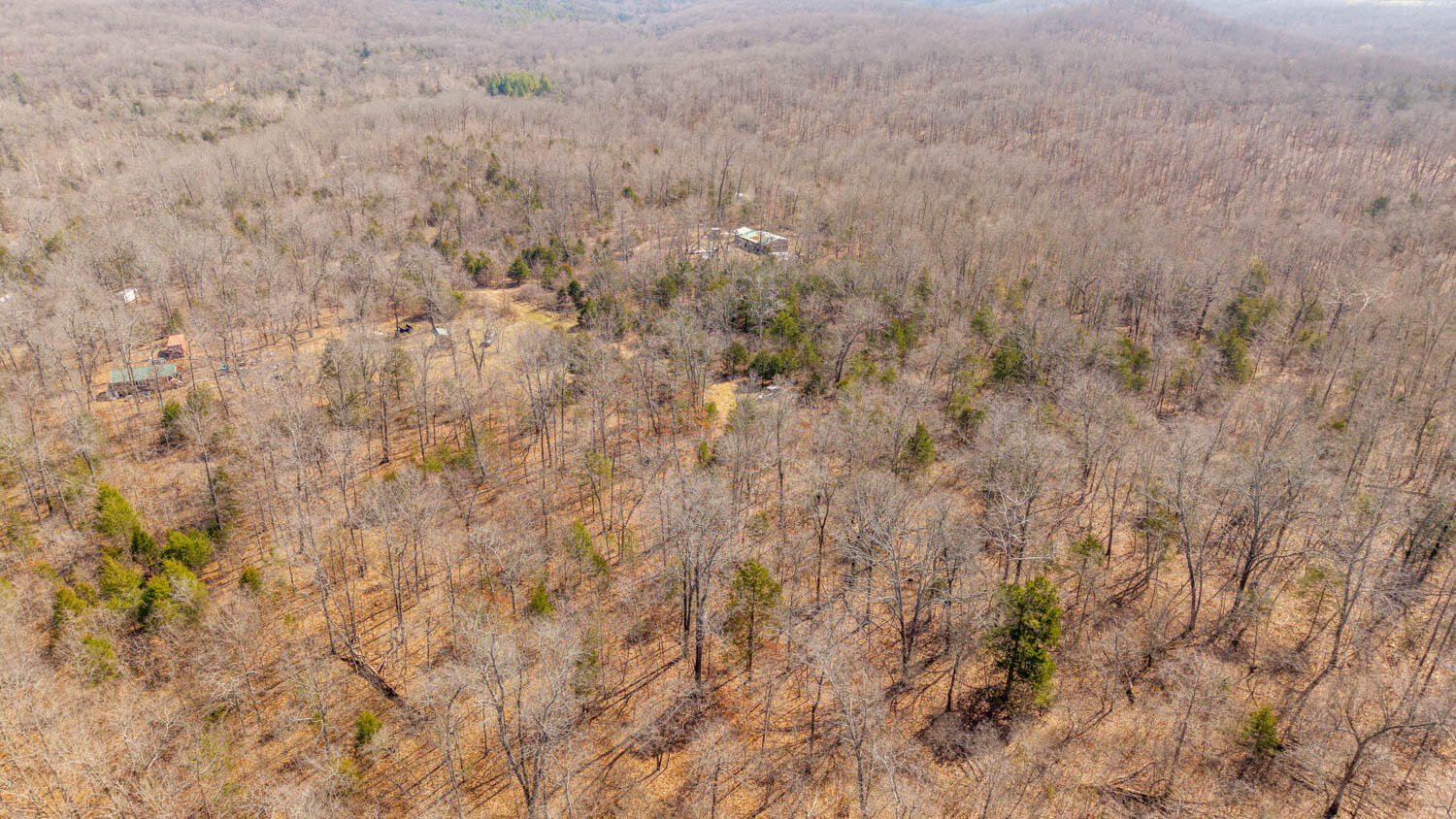 Photo 10 - Land for sale – 000  Private Drive County Road 803b   Gainesville, MO