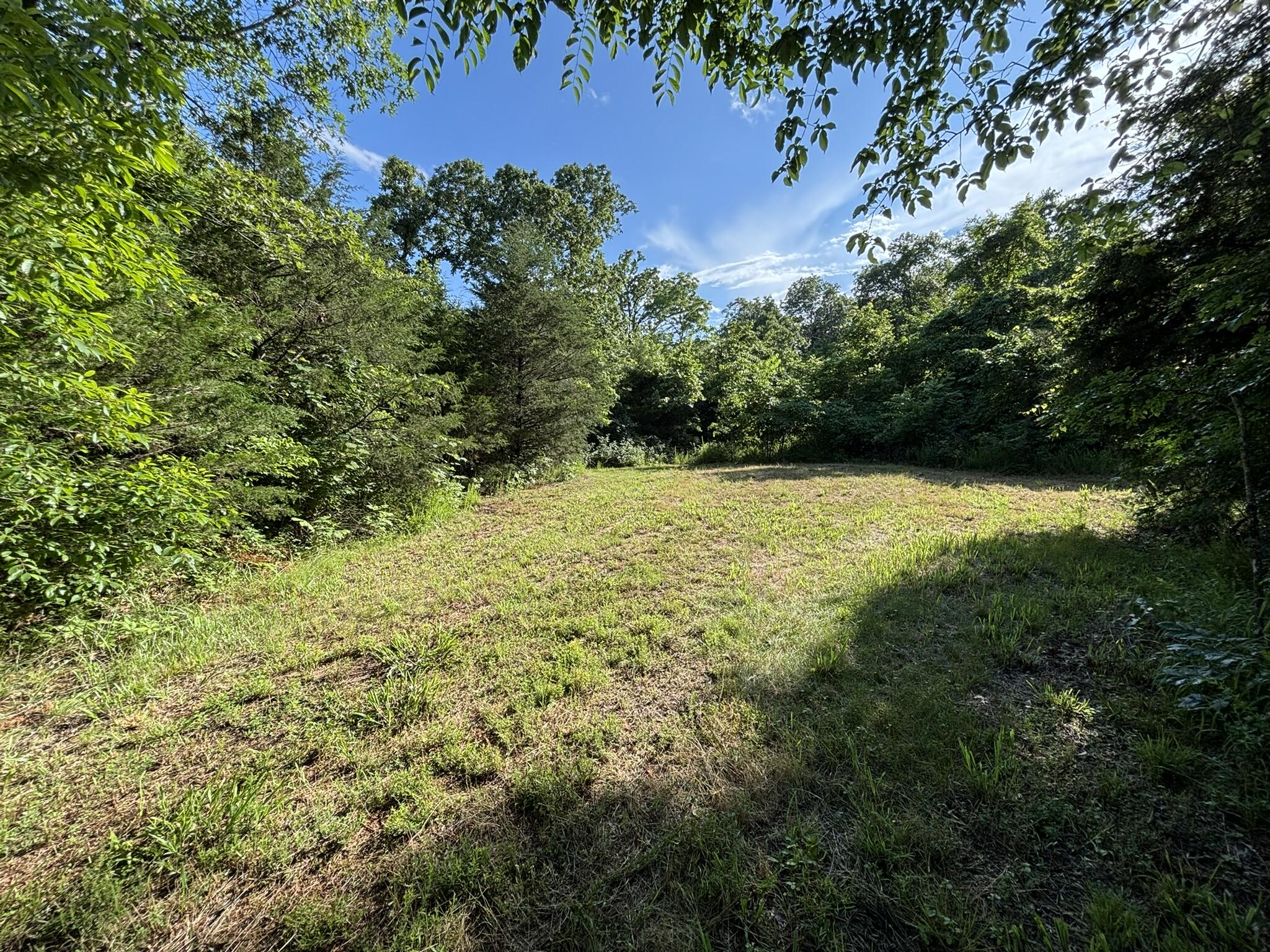 Photo 4 - Land for sale – 000  Private Drive County Road 803b   Gainesville, MO