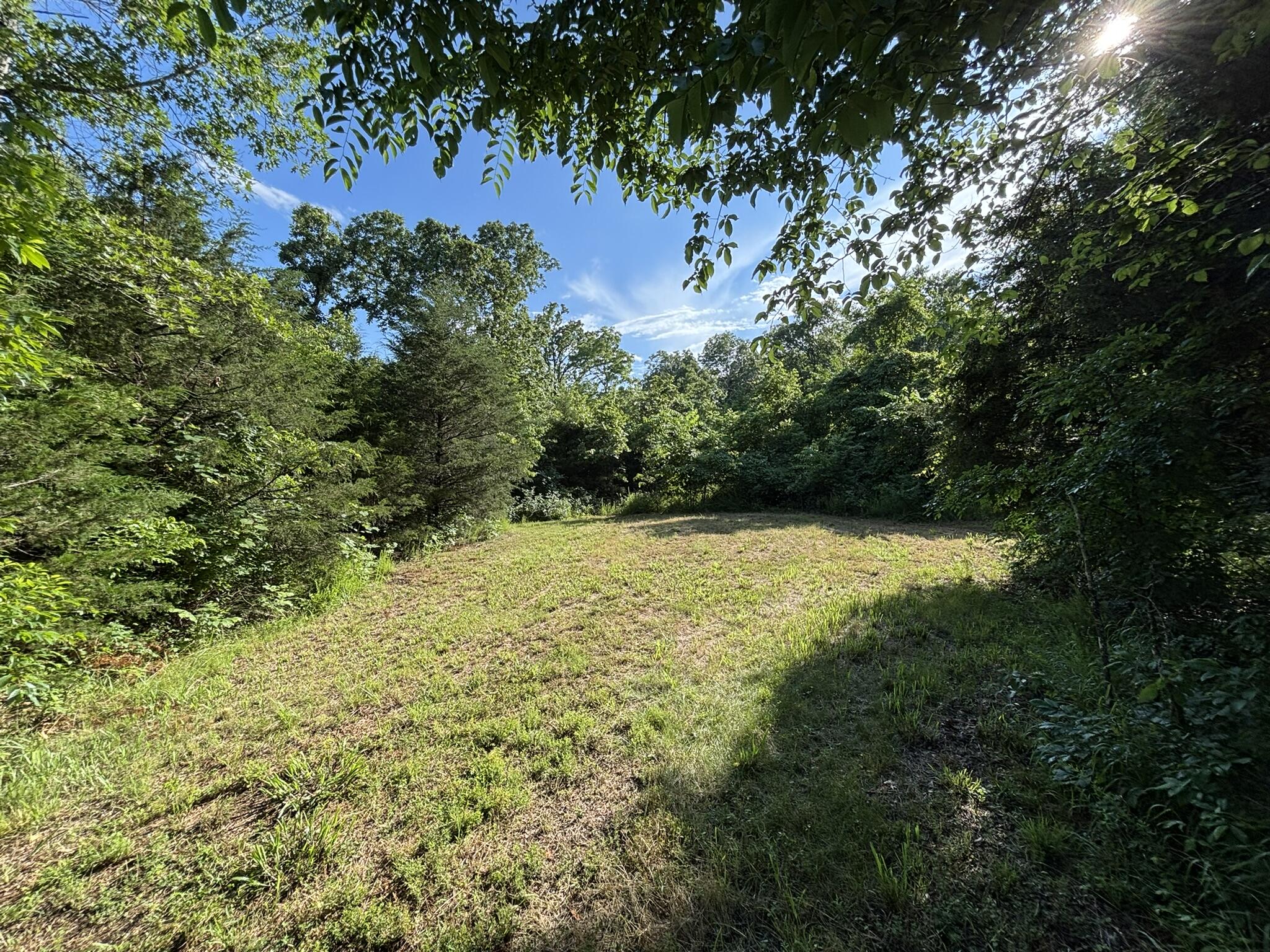 Photo 5 - Land for sale – 000  Private Drive County Road 803b   Gainesville, MO