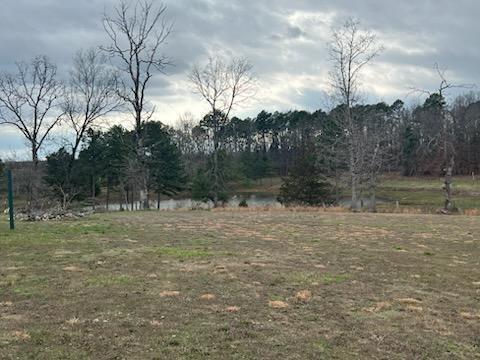 Photo 8 - Farm for sale – 8103  County Road 455   Birch Tree, MO