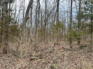 Photo 55 - Farm for sale – 8103  County Road 455   Birch Tree, MO