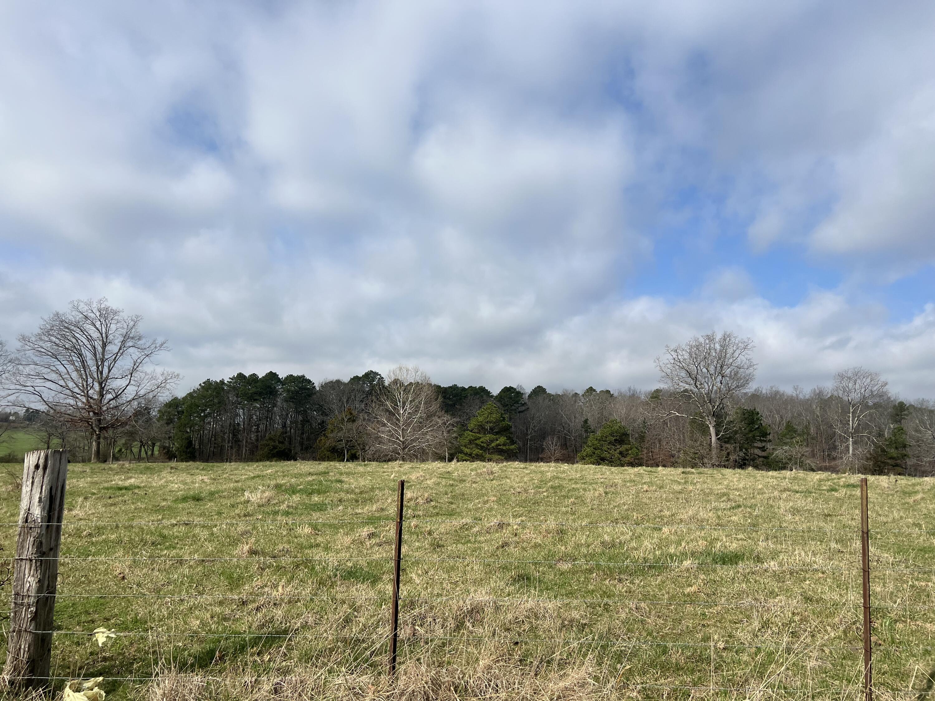 Photo 3 - Farm for sale – 8103  County Road 455   Birch Tree, MO