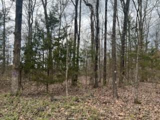 Photo 54 - Farm for sale – 8103  County Road 455   Birch Tree, MO