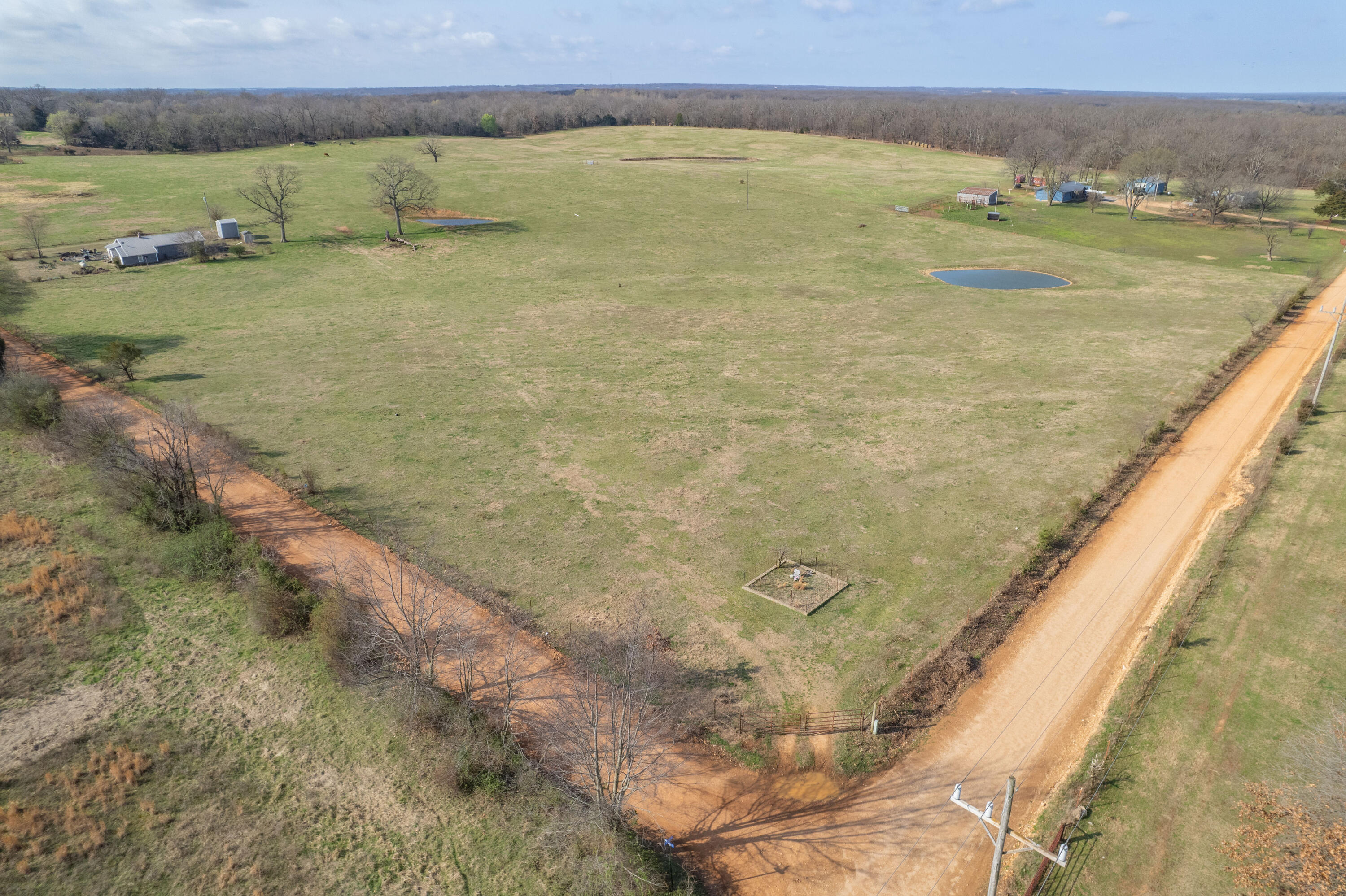 Photo 7 - Land for sale – 19+/-  Acres Holly Road  Southwest City, MO