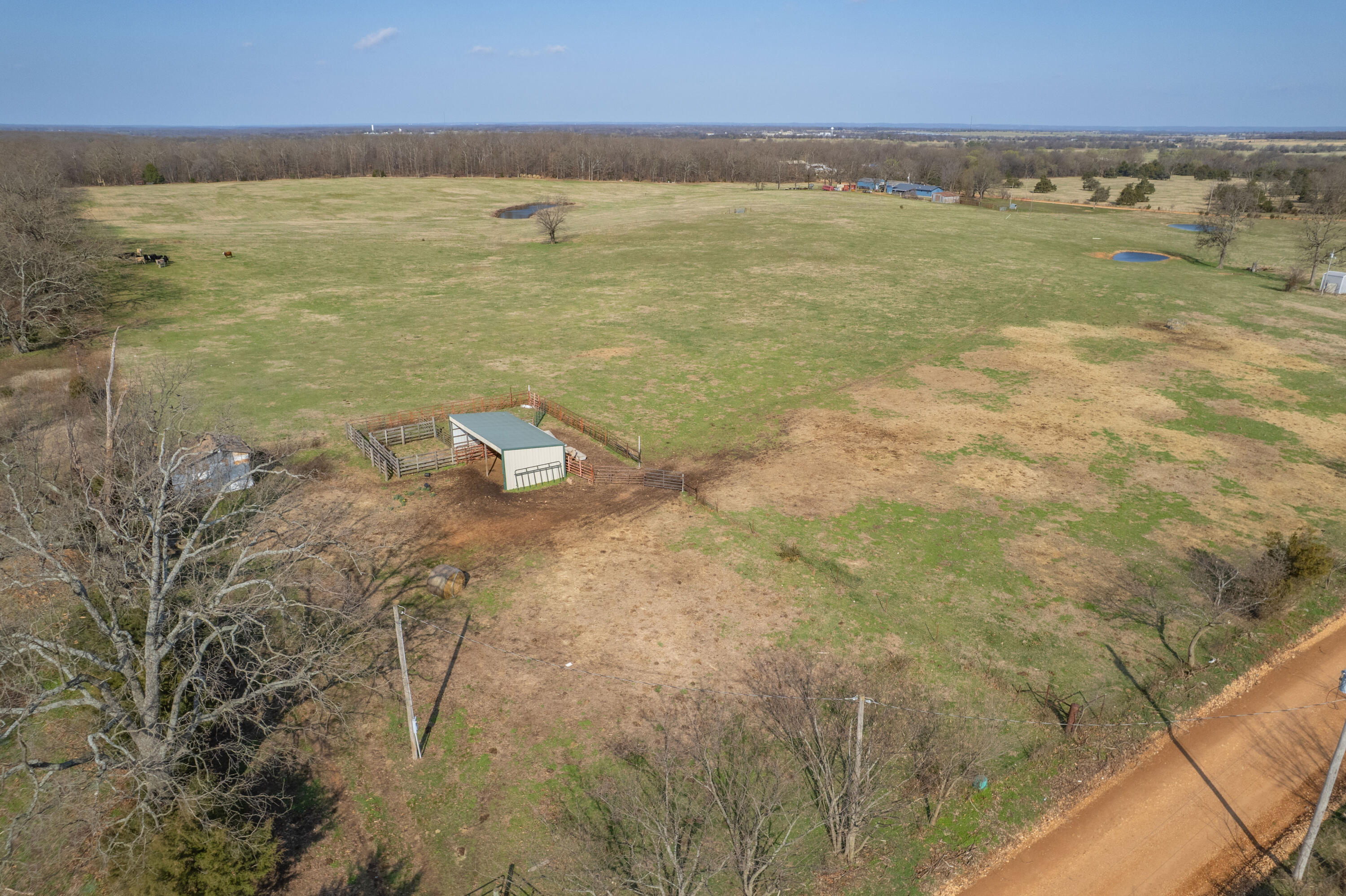 Photo 15 - Land for sale – 19+/-  Acres Holly Road  Southwest City, MO