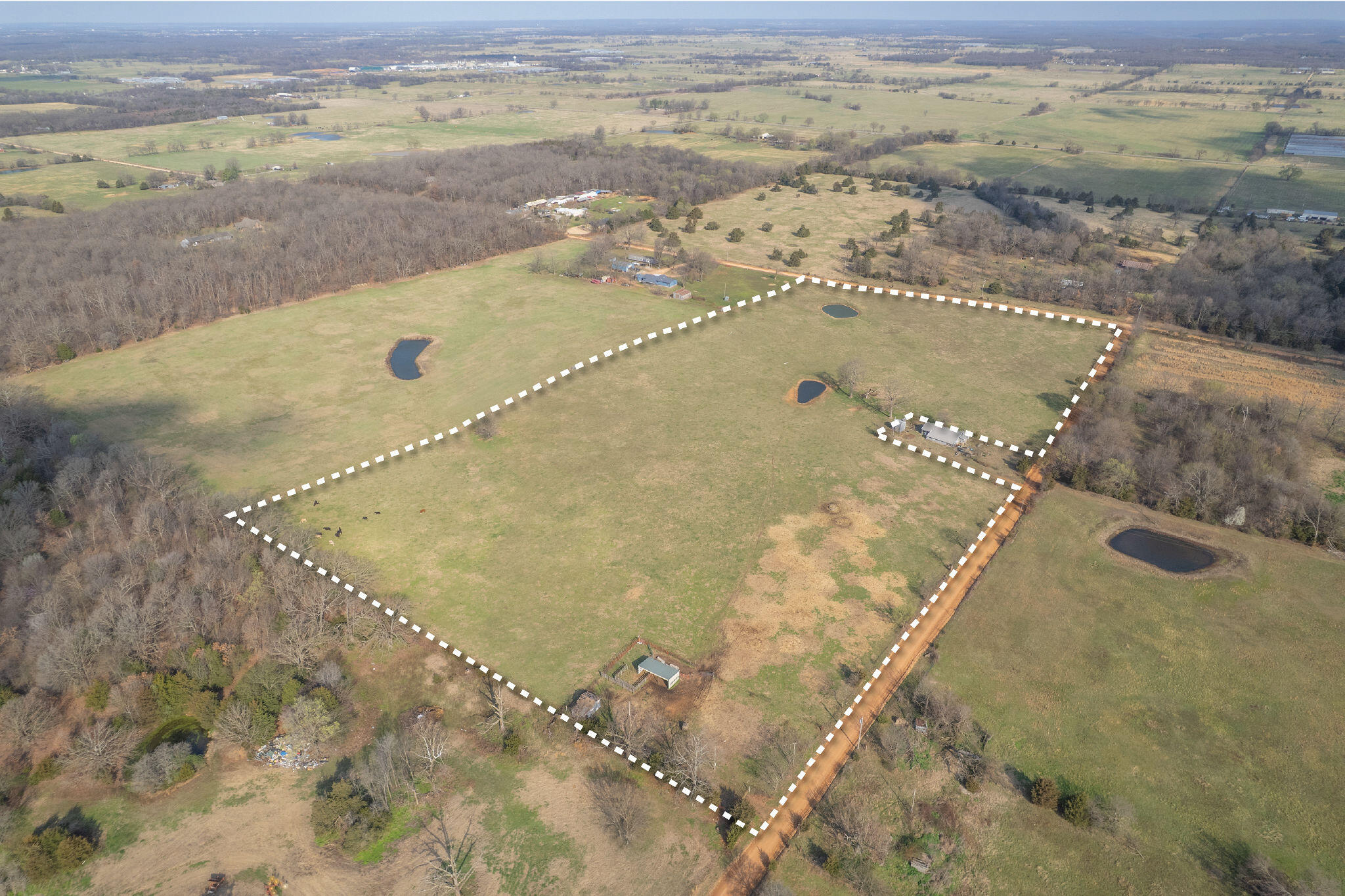 Photo 18 - Land for sale – 19+/-  Acres Holly Road  Southwest City, MO