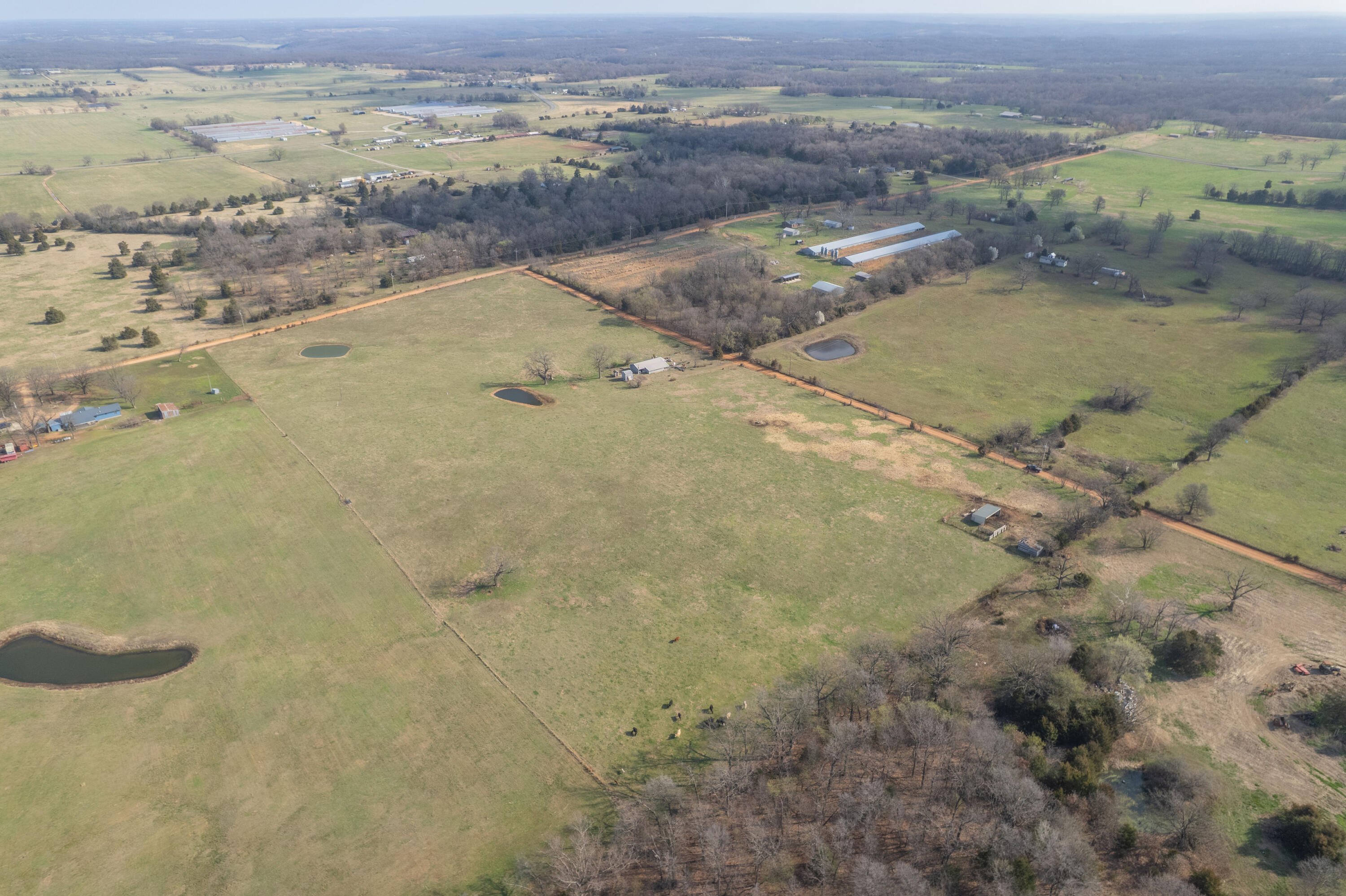 Photo 4 - Land for sale – 19+/-  Acres Holly Road  Southwest City, MO