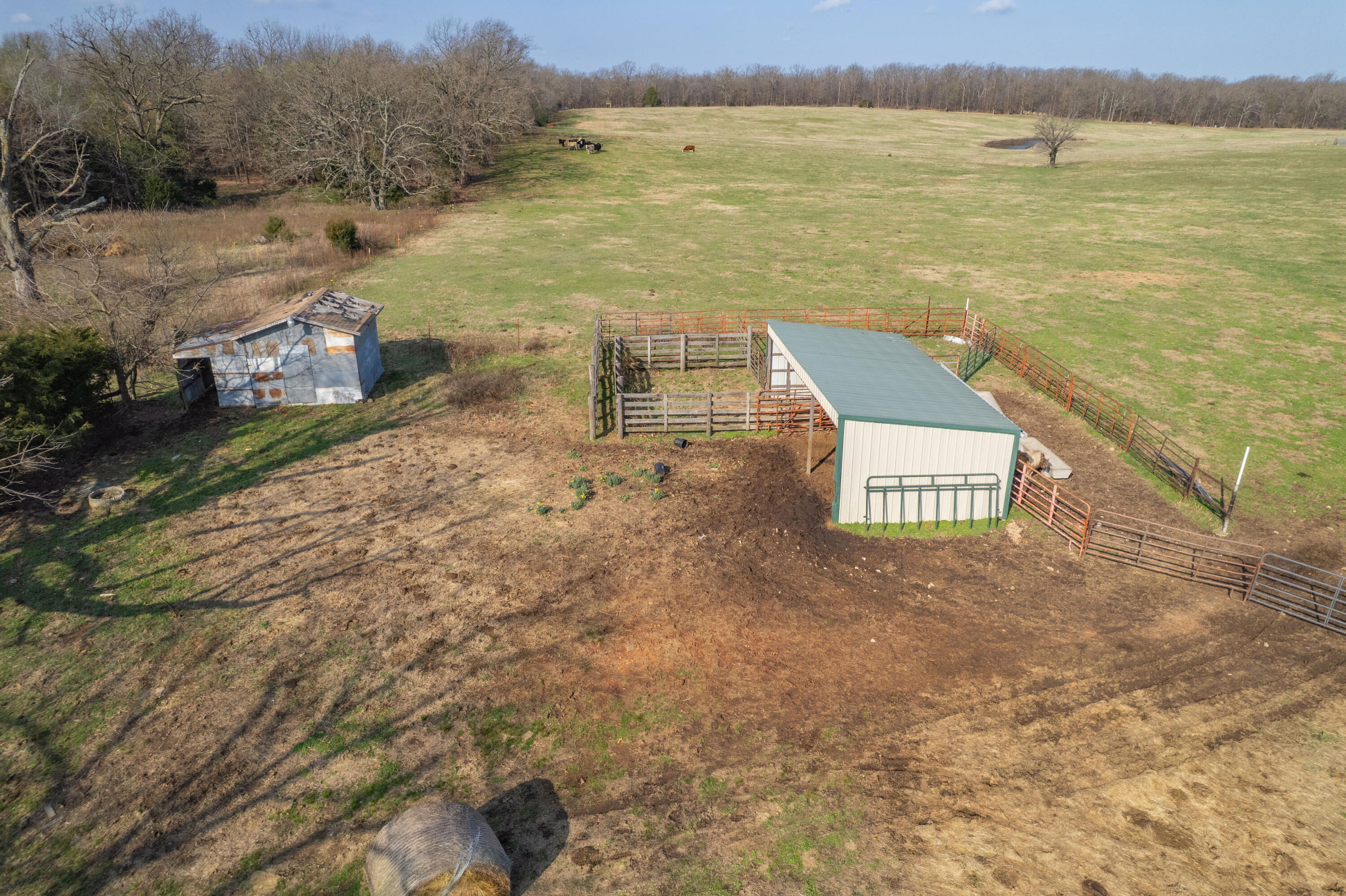 Photo 13 - Land for sale – 19+/-  Acres Holly Road  Southwest City, MO
