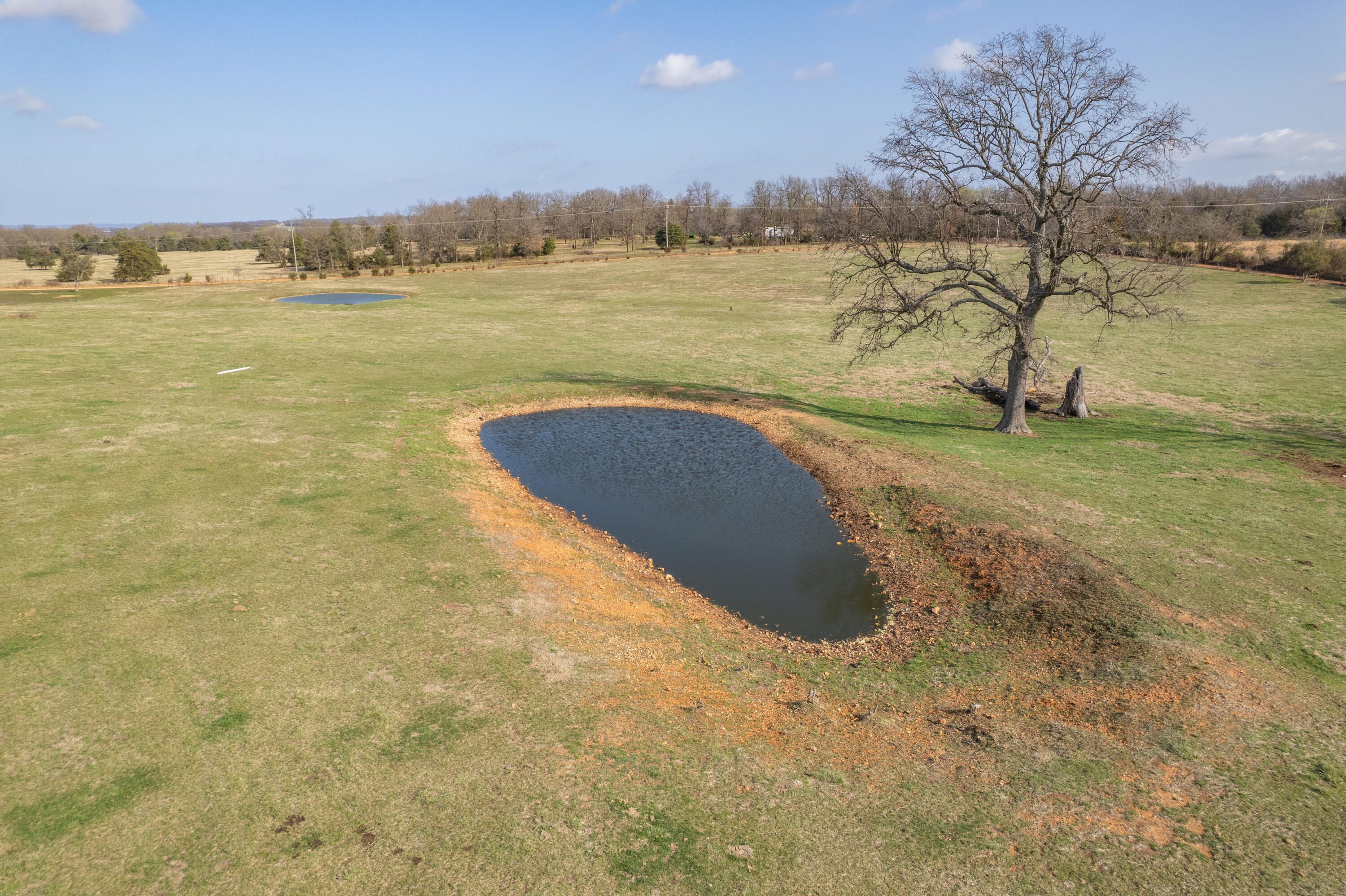 Photo 11 - Land for sale – 19+/-  Acres Holly Road  Southwest City, MO