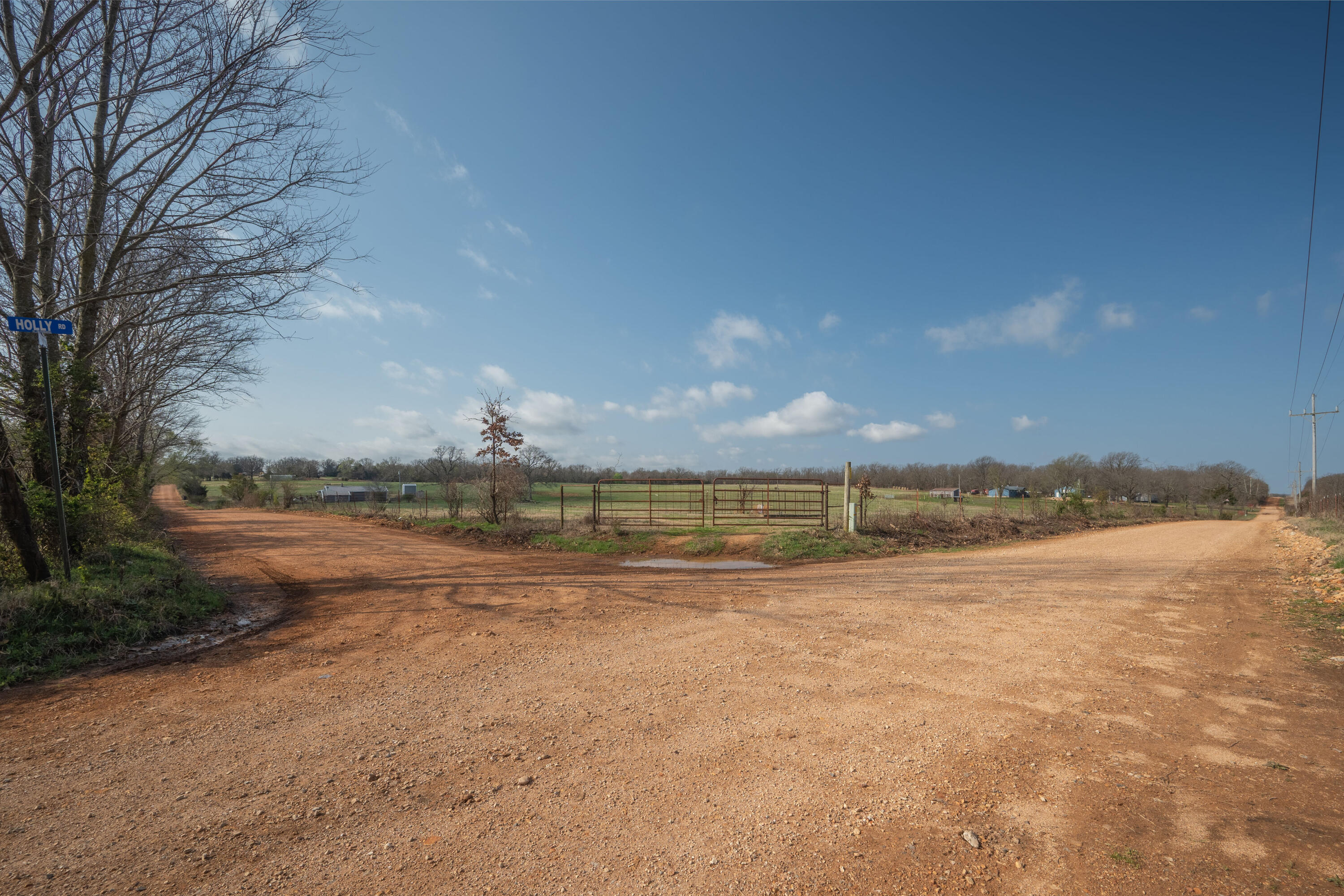 Photo 17 - Land for sale – 19+/-  Acres Holly Road  Southwest City, MO